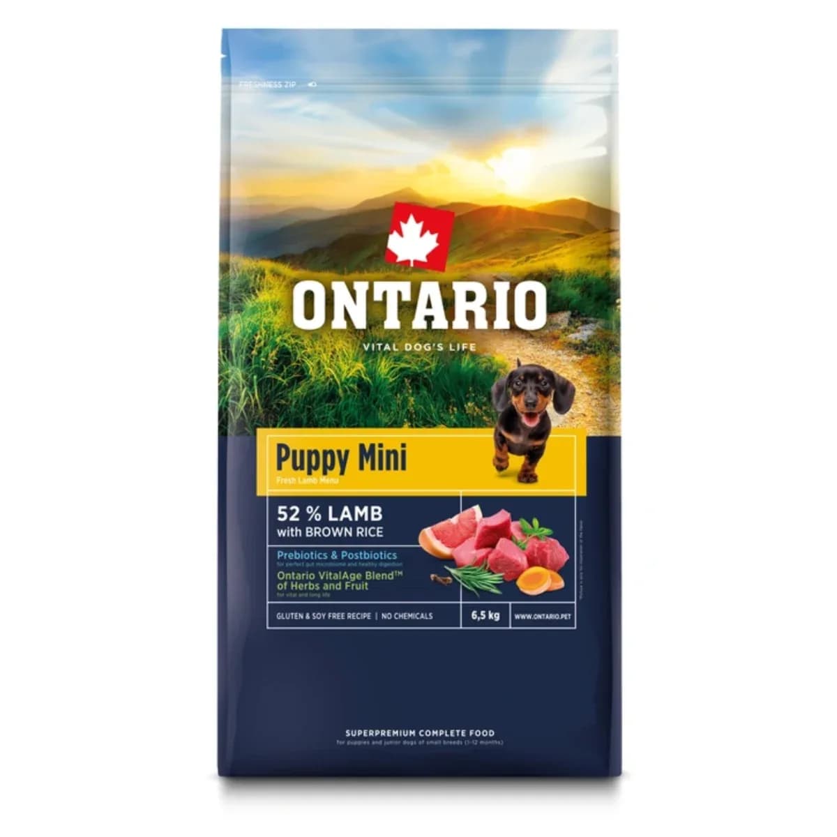 Ontario Dog Puppy Mini Lamb