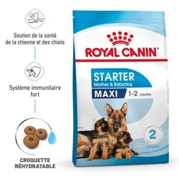 Royal Canin Maxi Starter Croquettes Chien