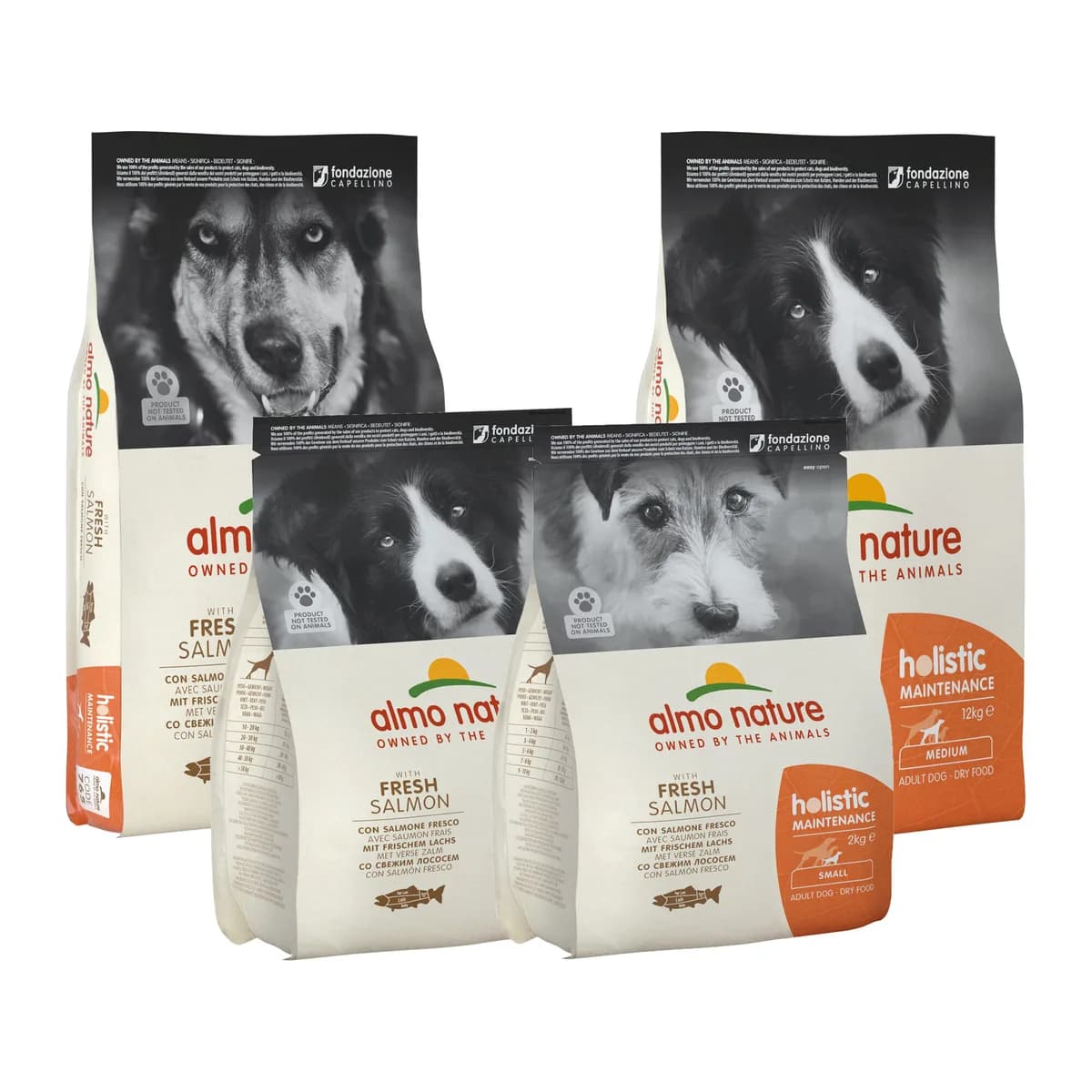 Almo Nature Holistic Maintenance Dog Food - Salmon