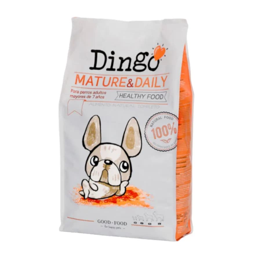 Dingo Senior MatureyDaily
