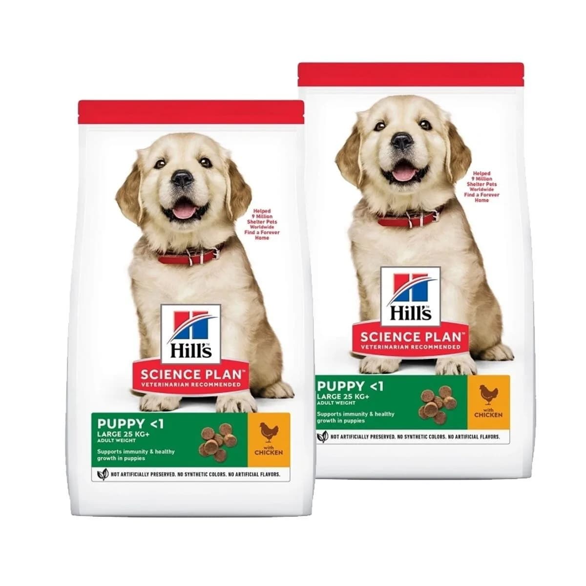 Hill's Science Plan Science Plan Dog Puppy Large Breed