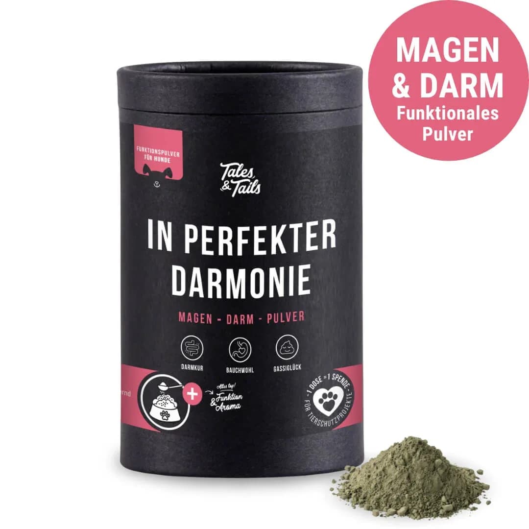 Tales & Tails In perfekter Darmonie