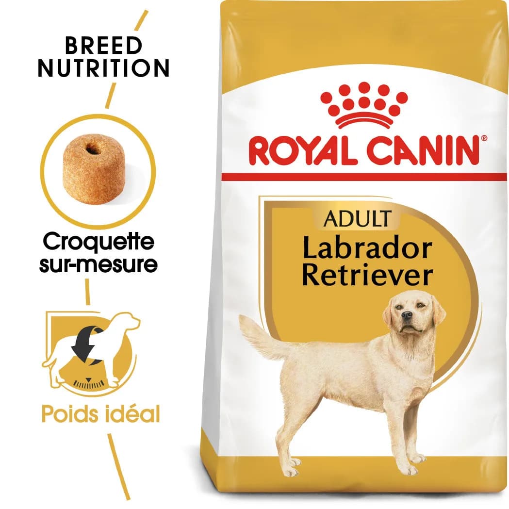 Royal Canin Adult Labrador Retriever