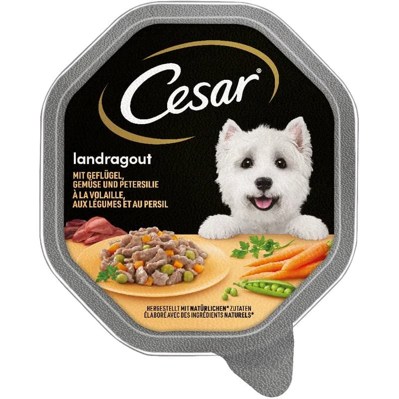 Cesar pladnji