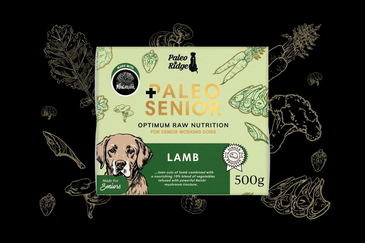 Paleo Ridge Paleo Senior Lamb