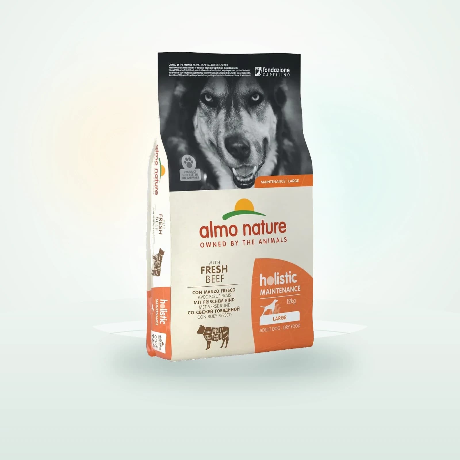 Almo Nature Holistic Maintenance Dog Large Manzo e Riso
