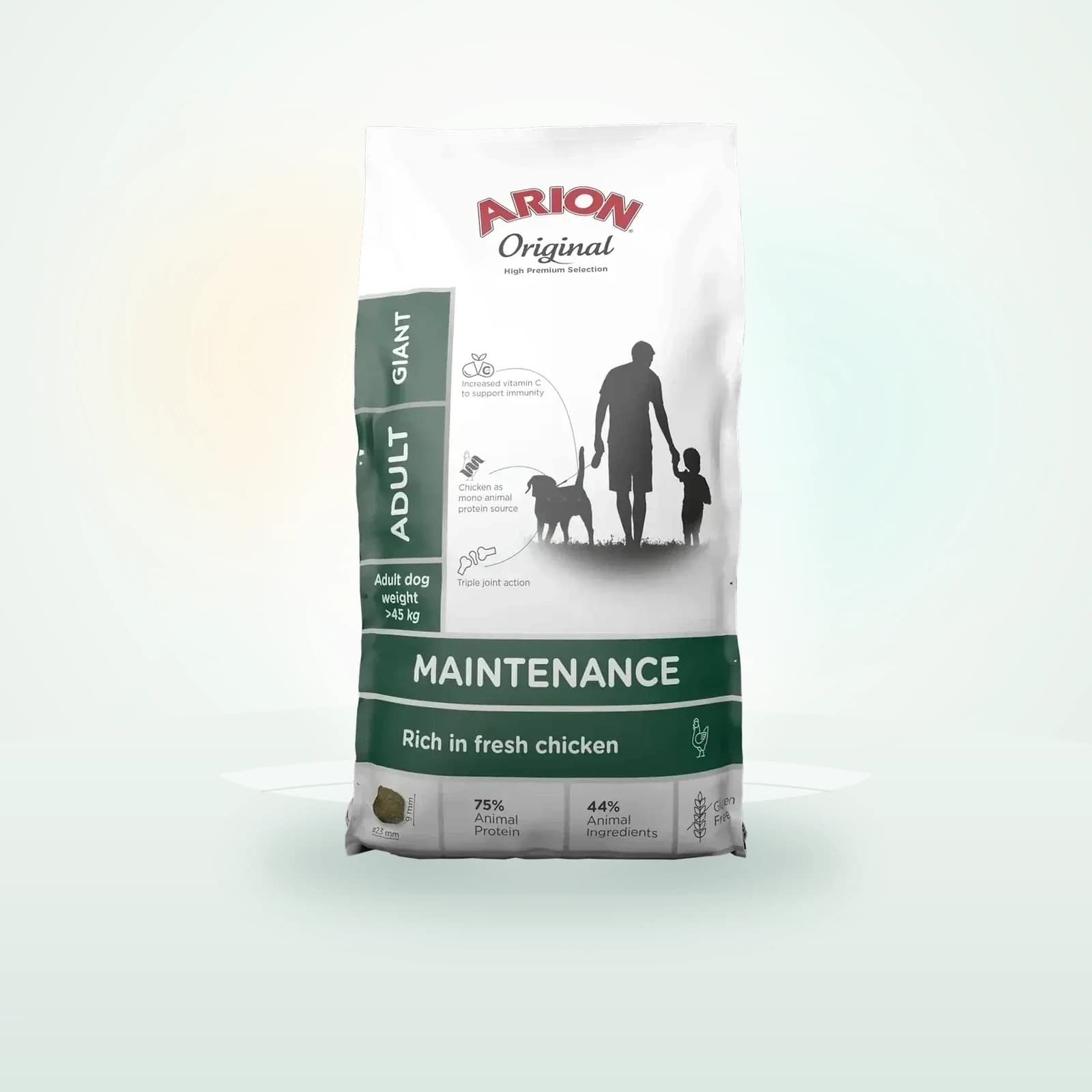 ARION Maintenance
