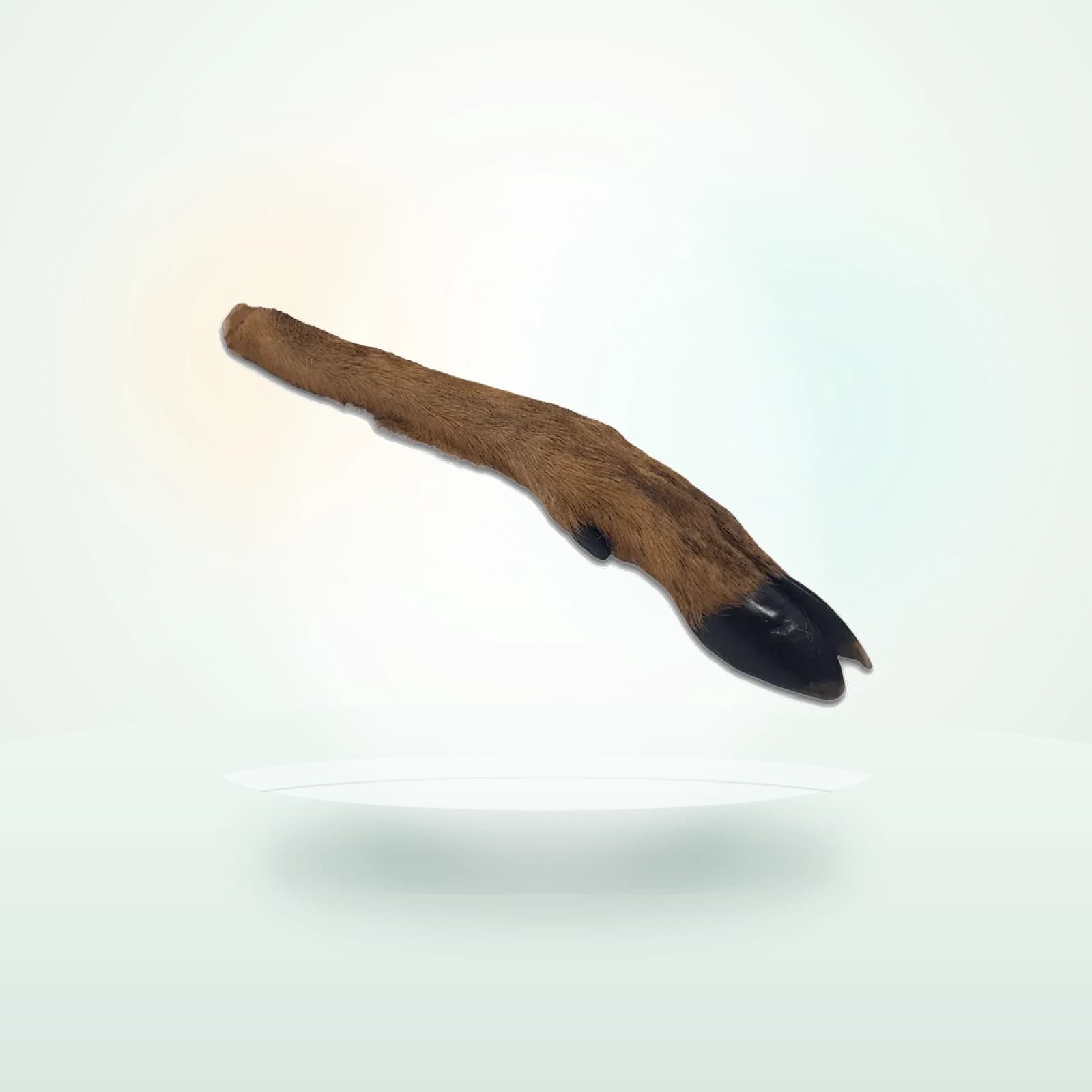 Atlas & Tail Furry Doe Leg