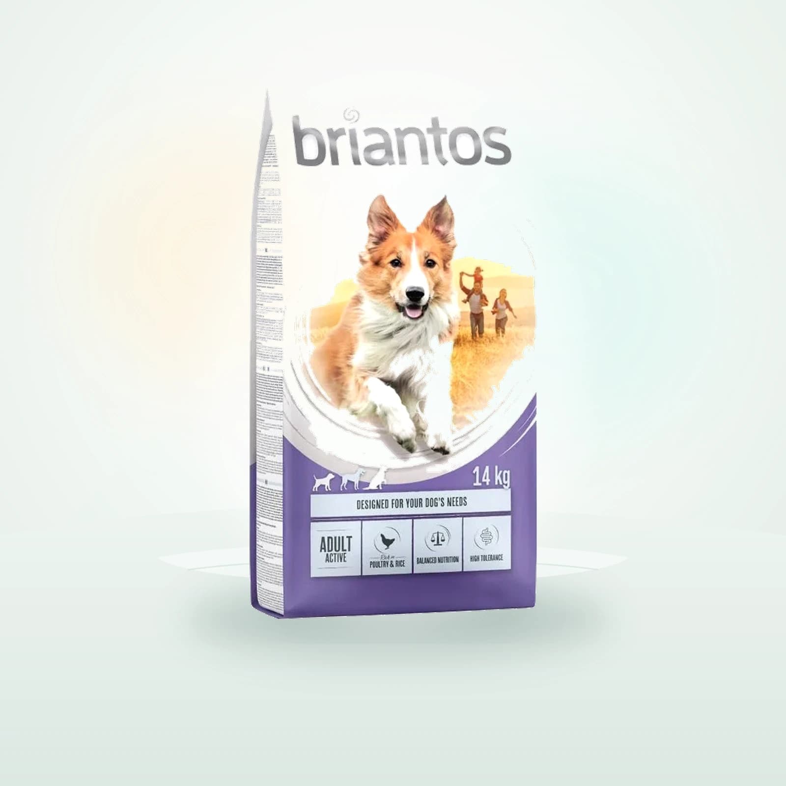 Briantos Adult Active, Kylling