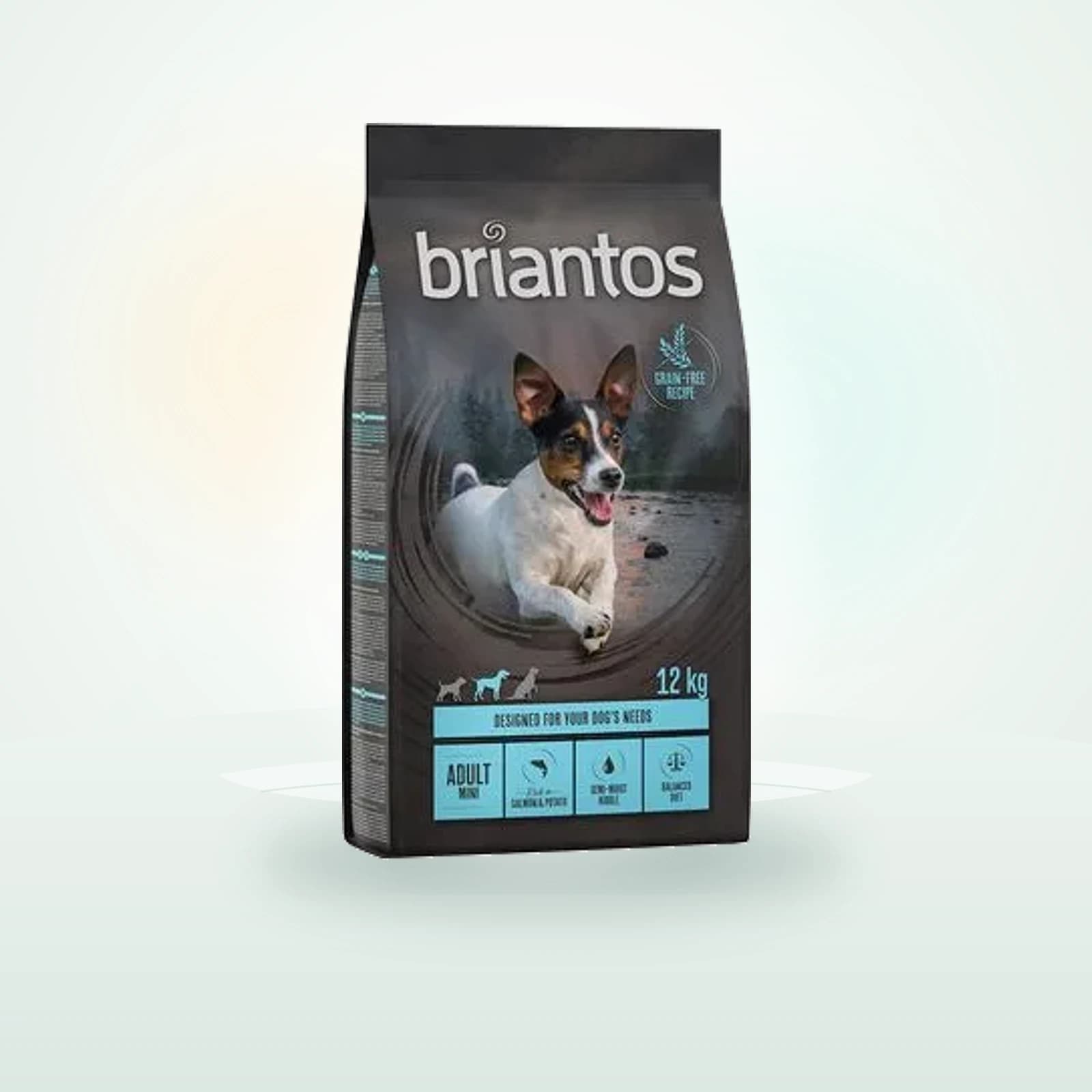 Briantos Adult Mini saumon, pommes de terre