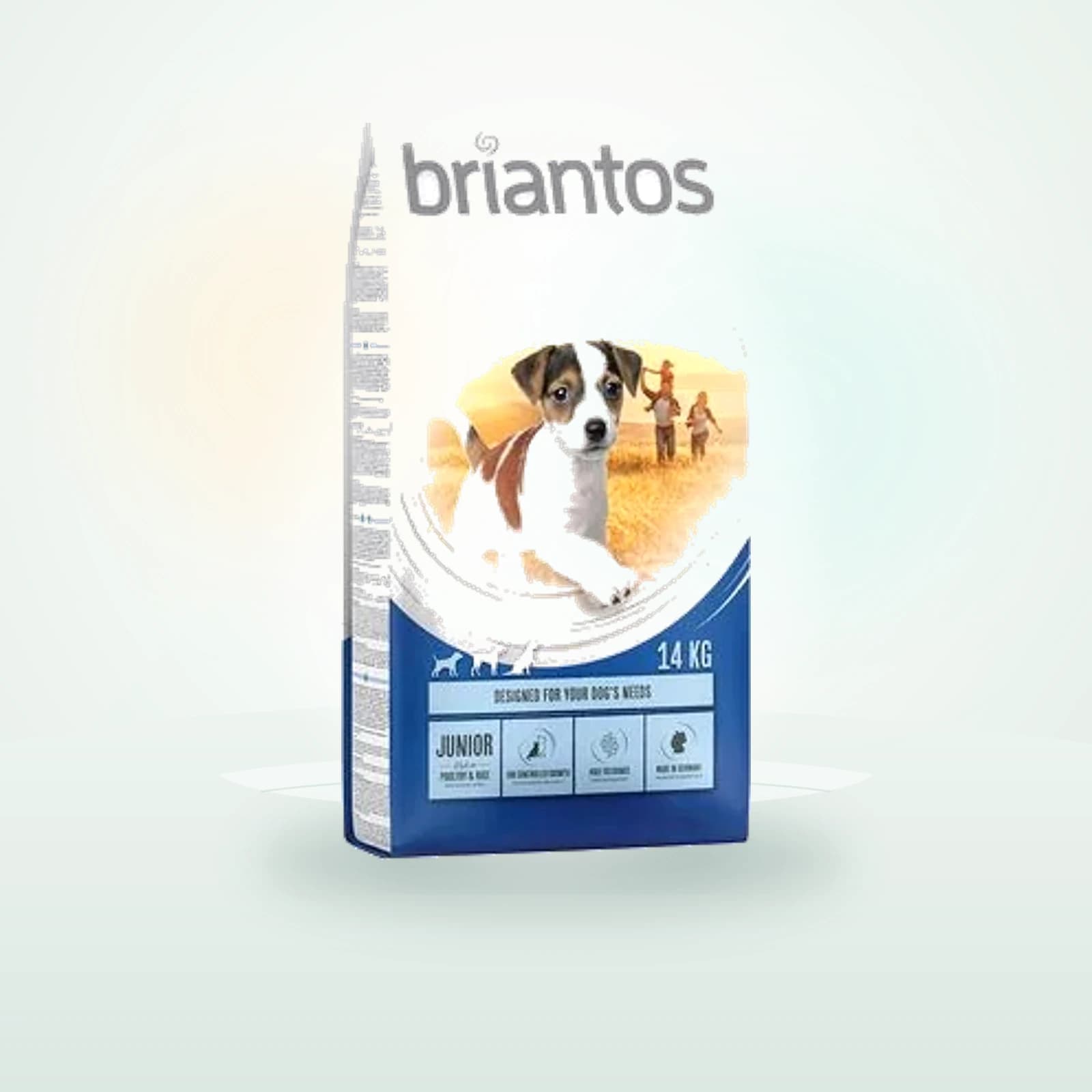 Briantos Junior