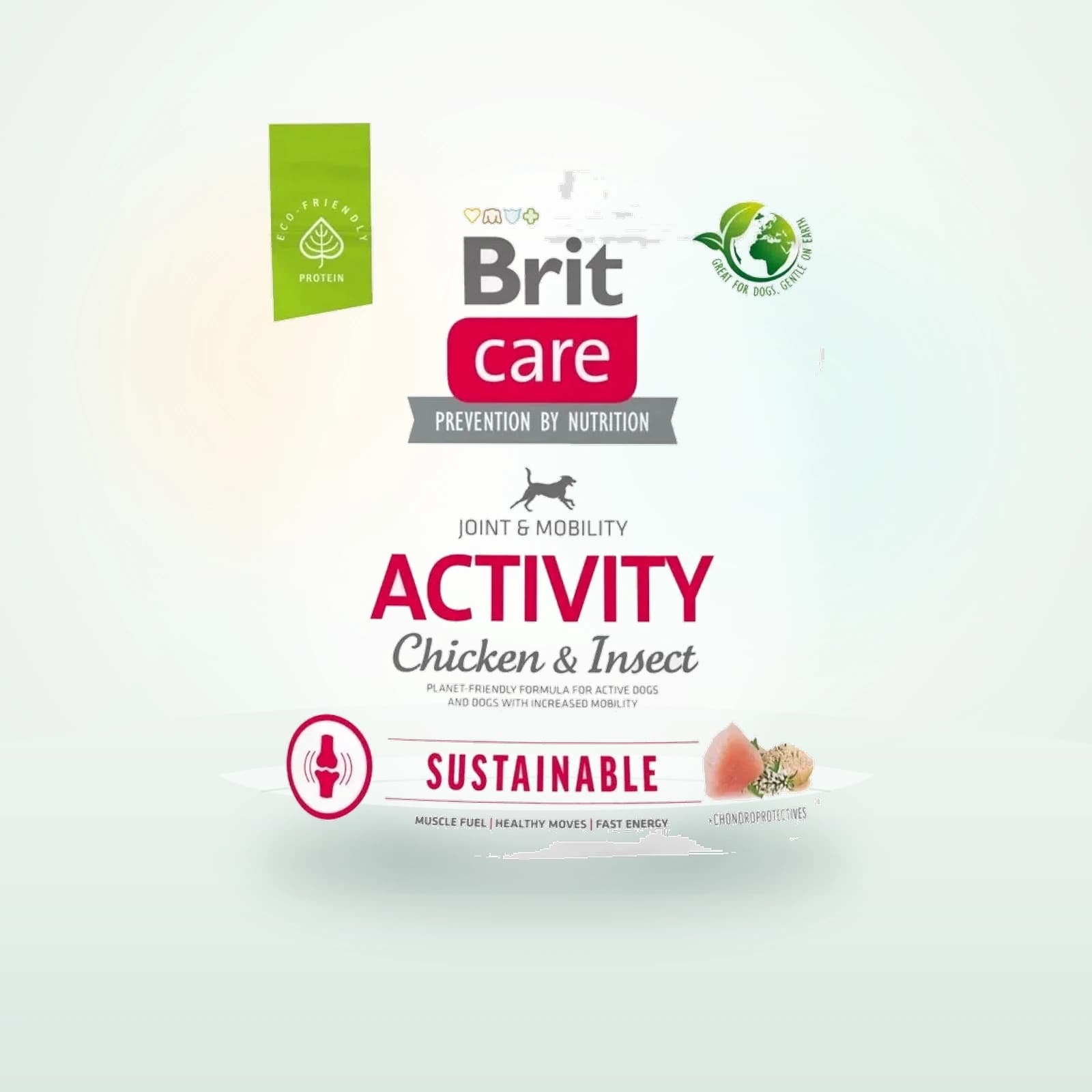 Brit Care Sustainable Activity
