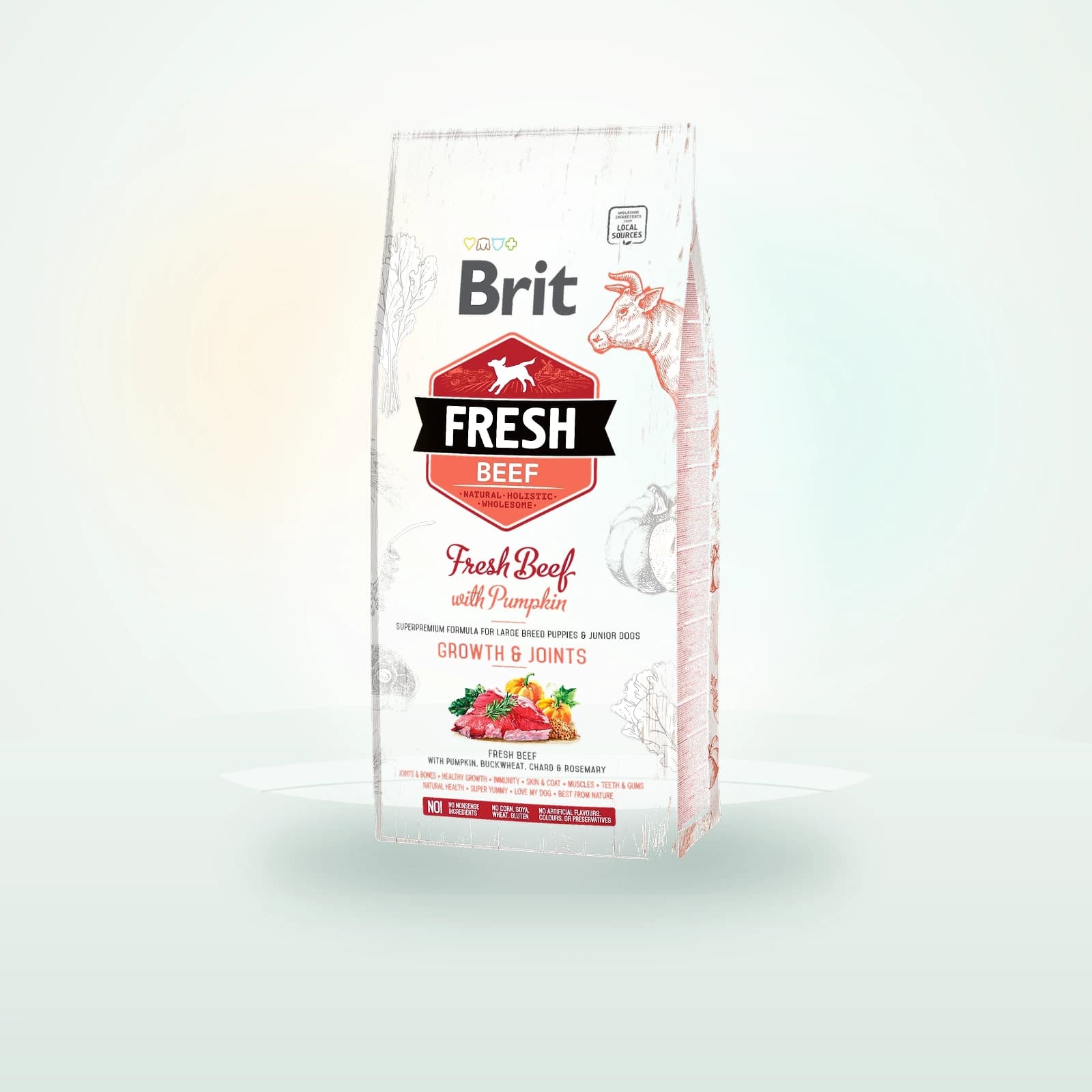 Brit Croquettes Puppy Large Bœuf et Courge