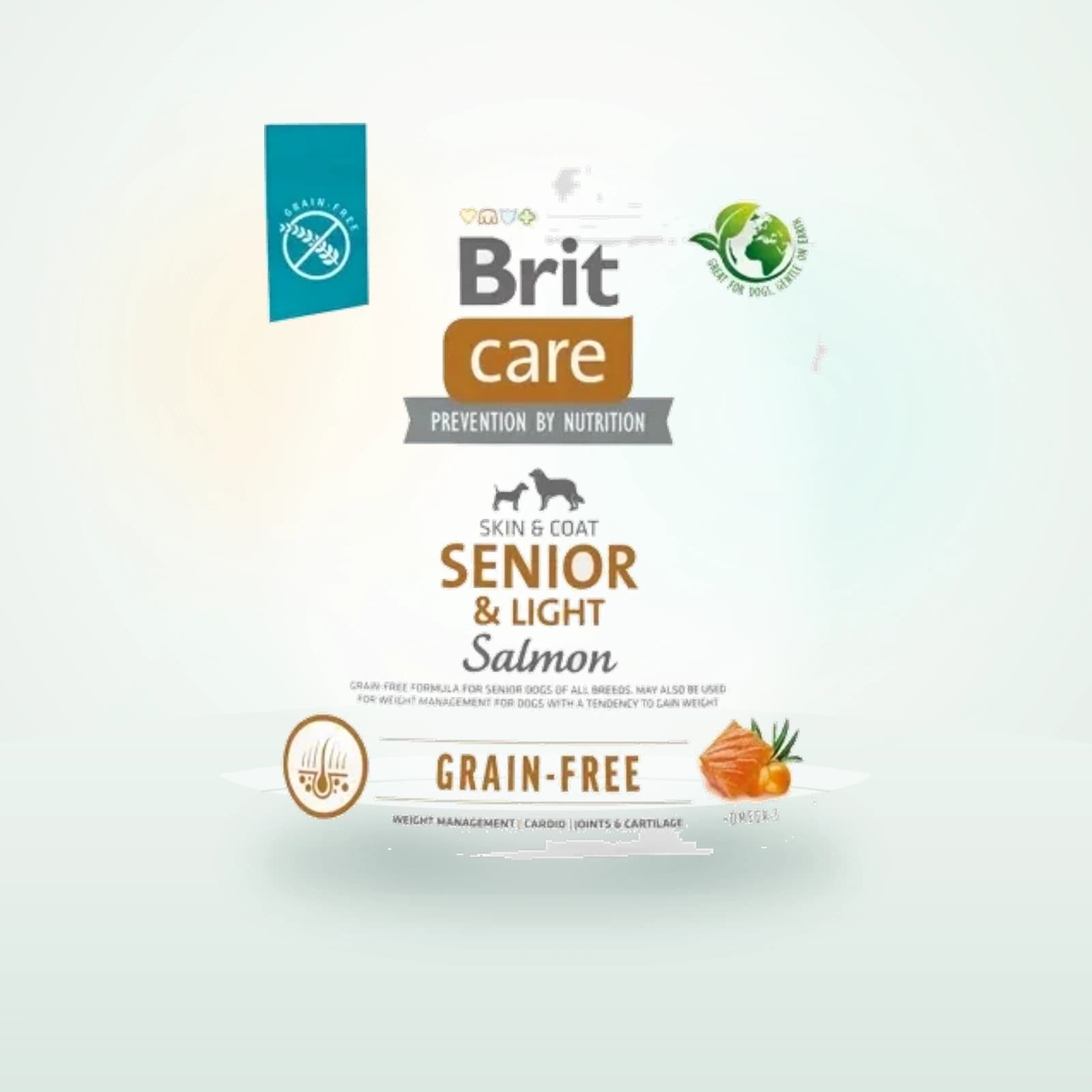 Brit Dog Senior & Light Grain Free Salmon