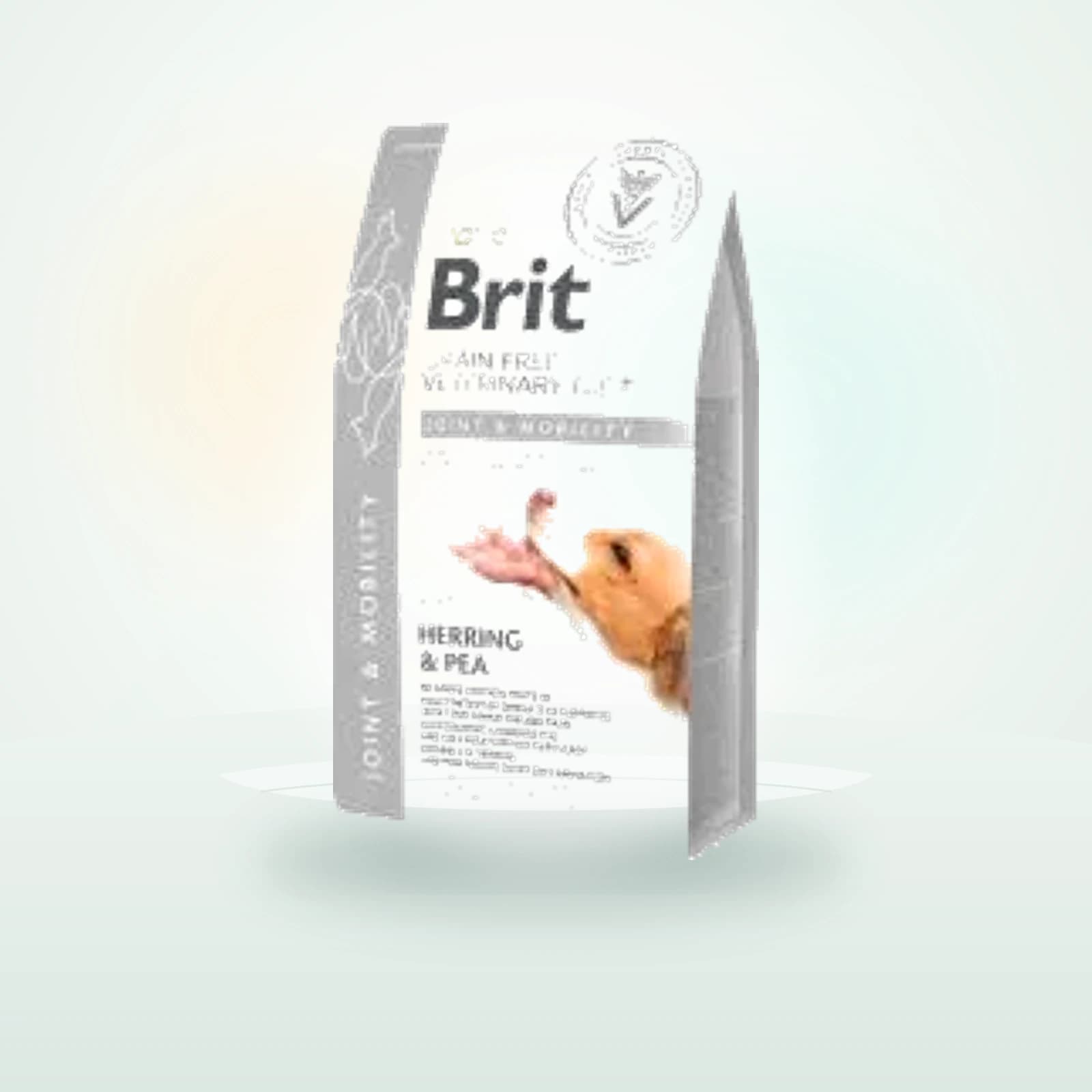 Brit Mobility