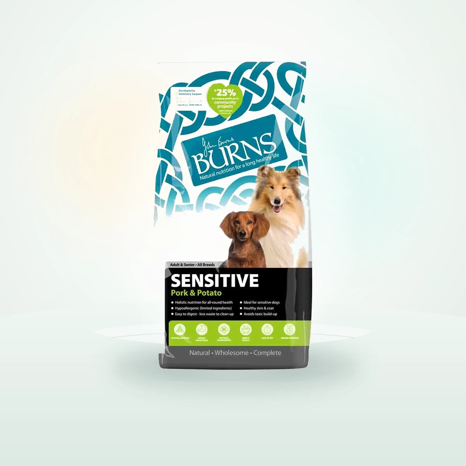 Burns Sensitive Dog Food with Pork