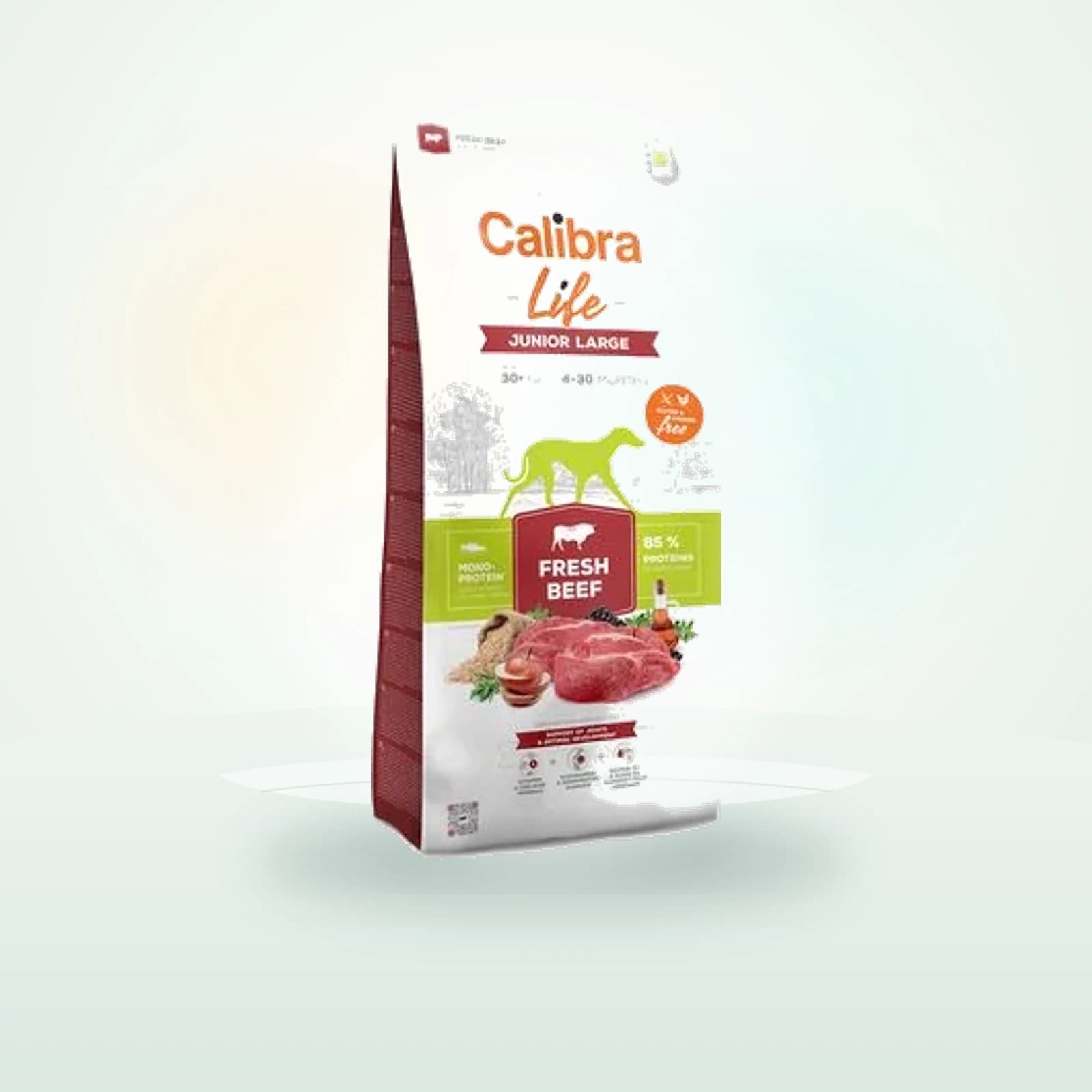 Calibra Life Junior Large Fresh Beef