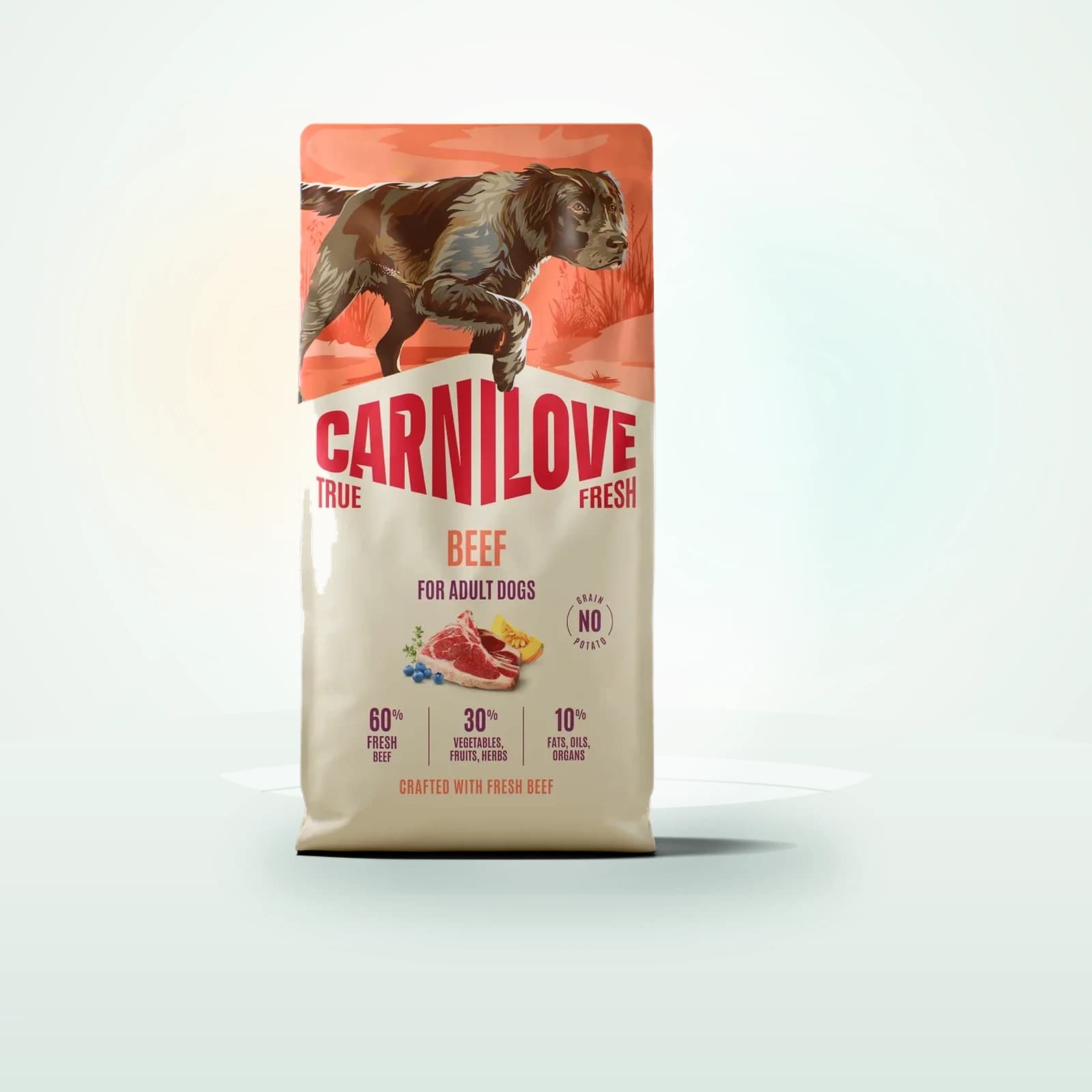 Carnilove TRUE FRESH Beef Dry Dog food