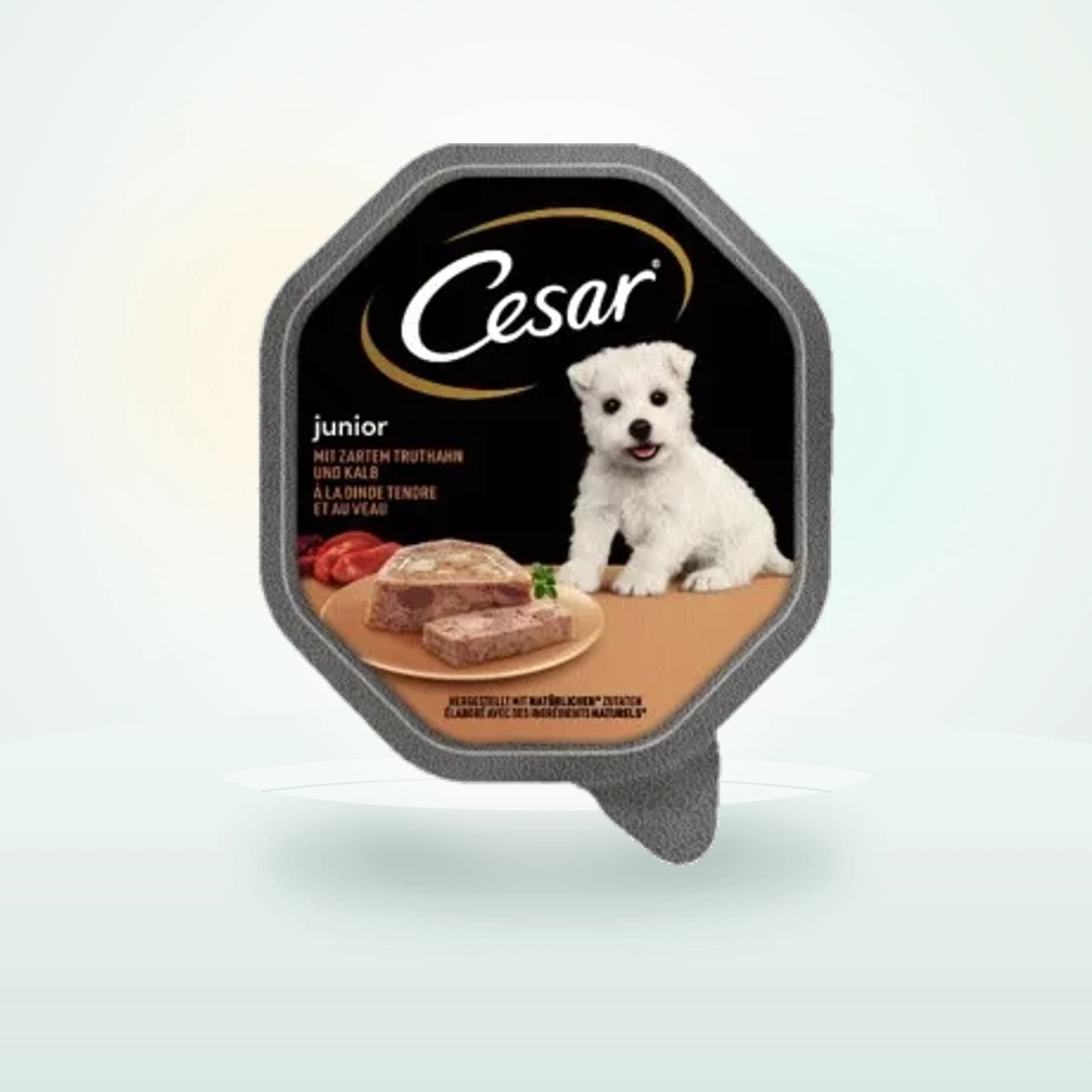 Cesar Junior