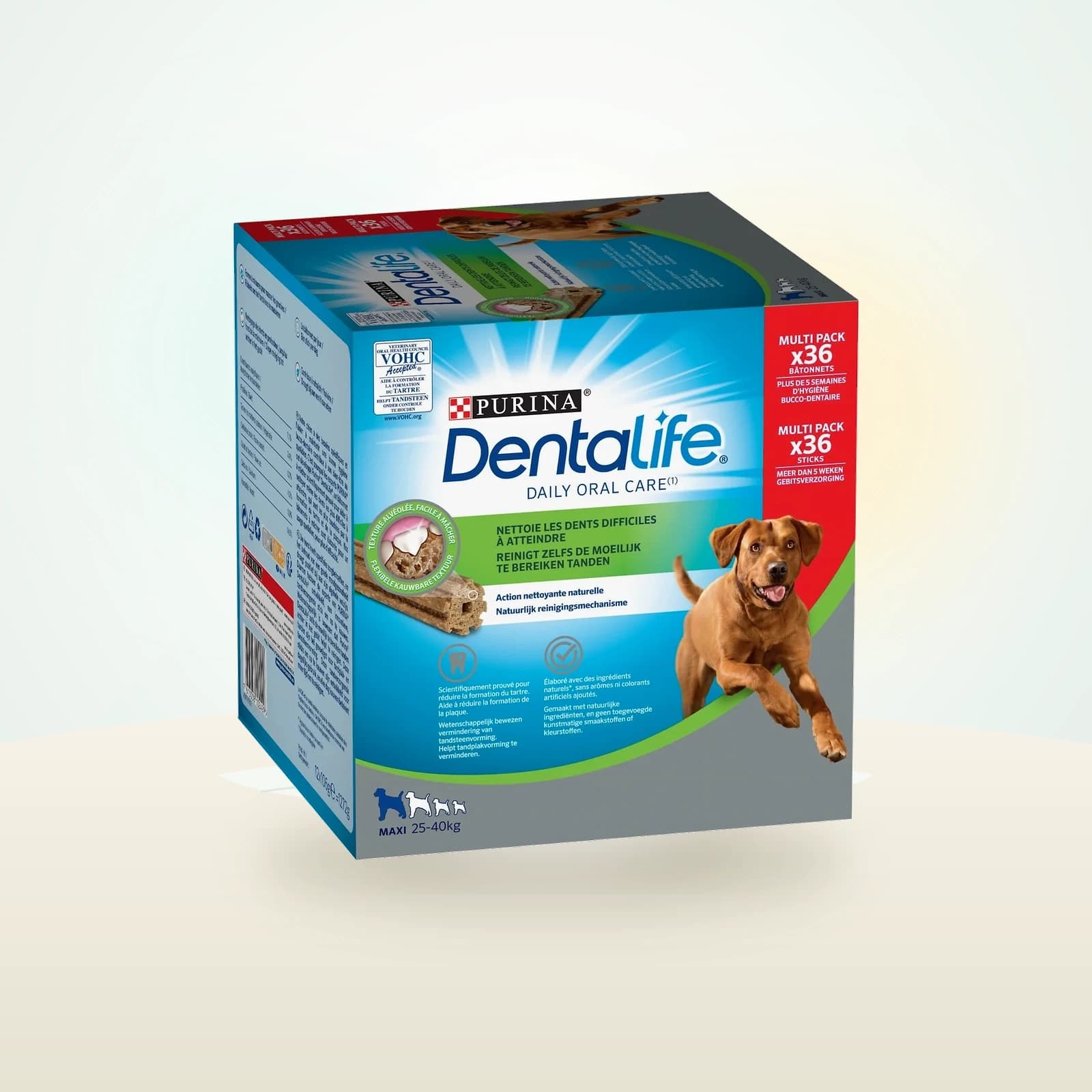 Dentalife Maxi