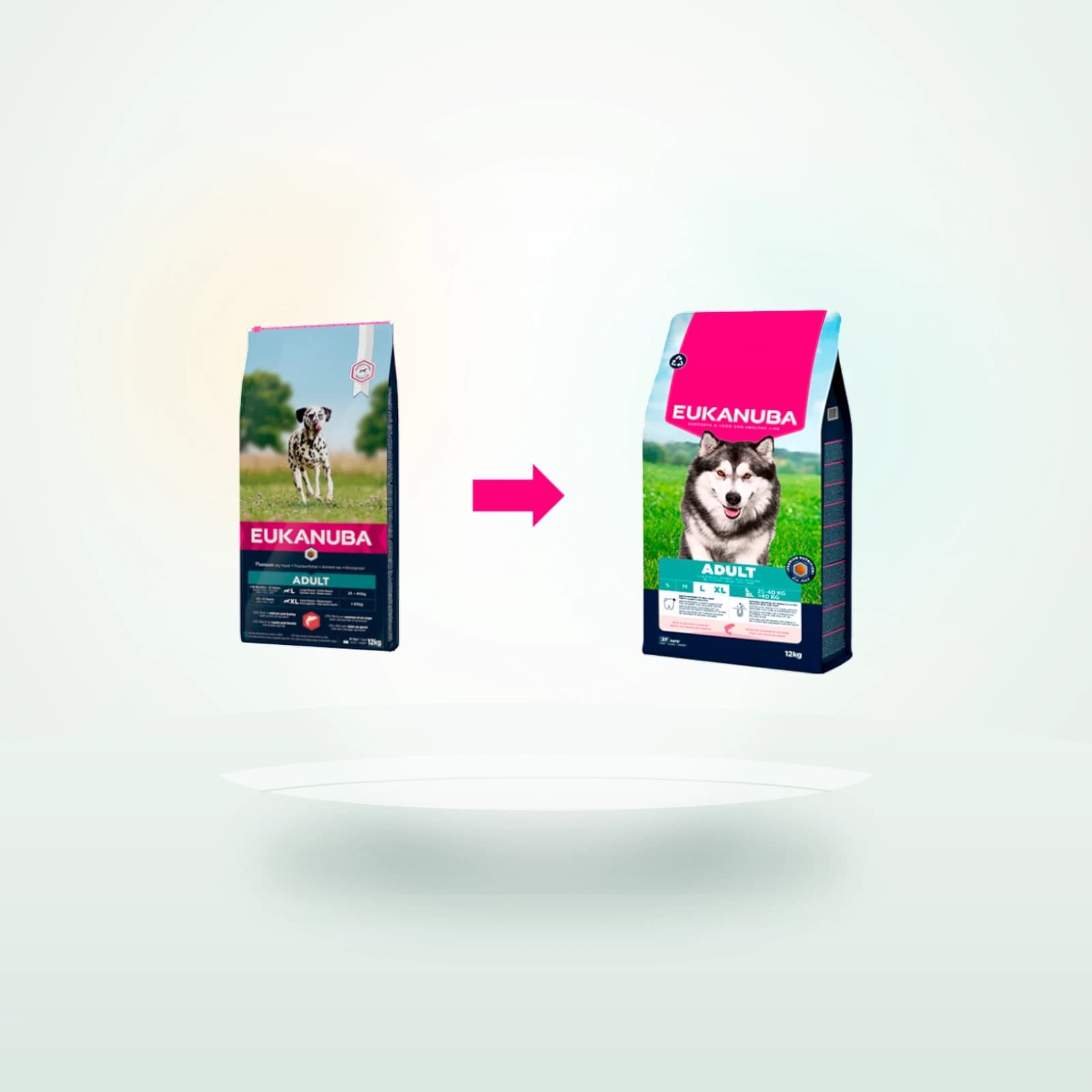 Eukanuba Adult Salmón