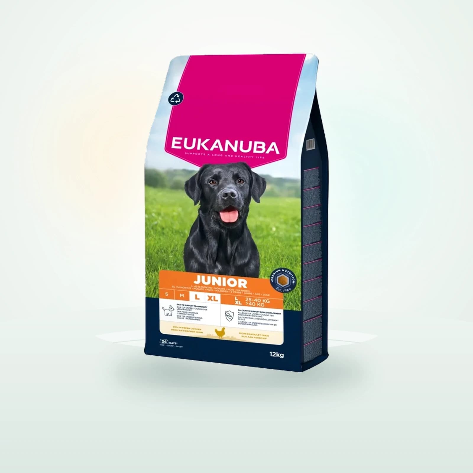 Eukanuba Junior L/XL