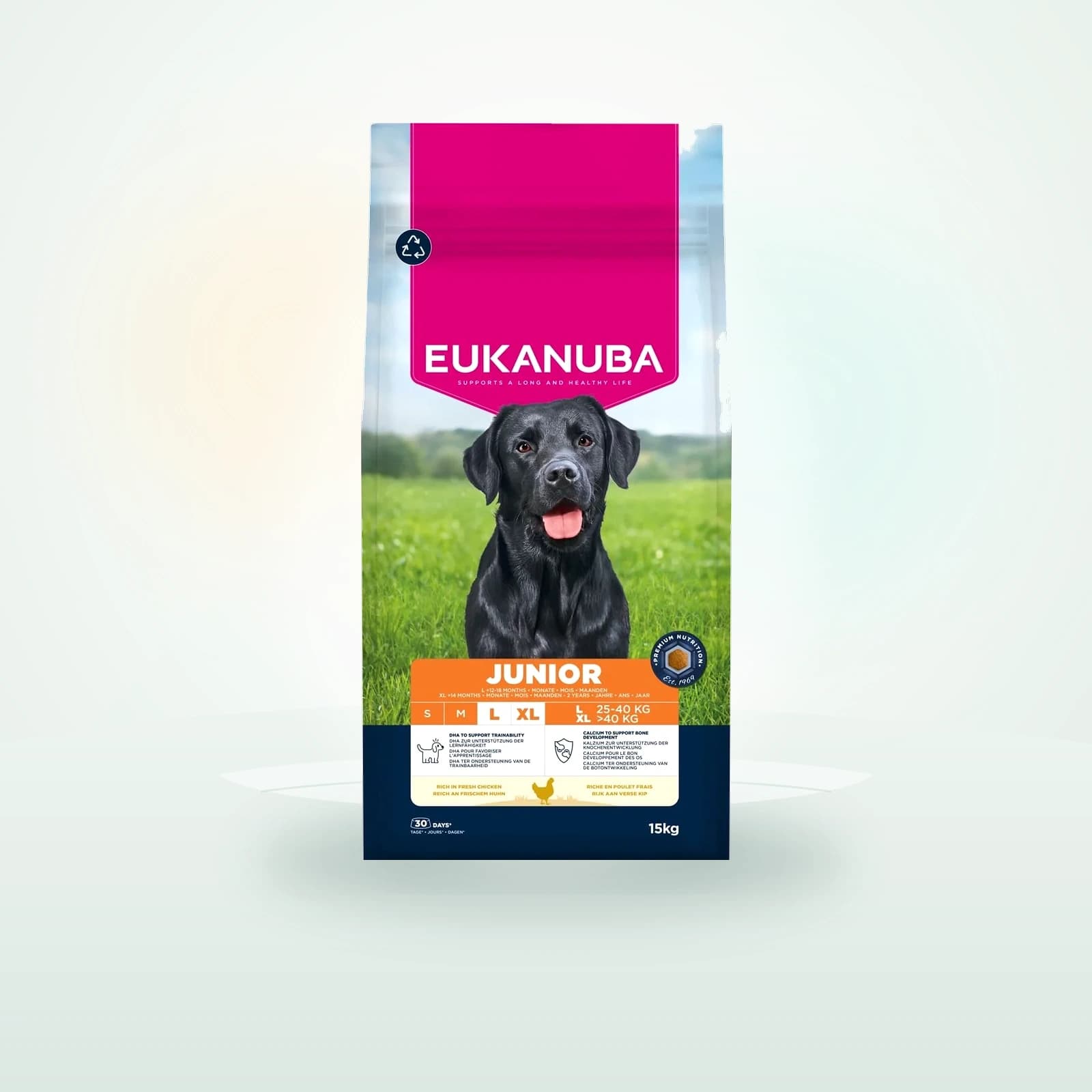 Eukanuba Junior Large