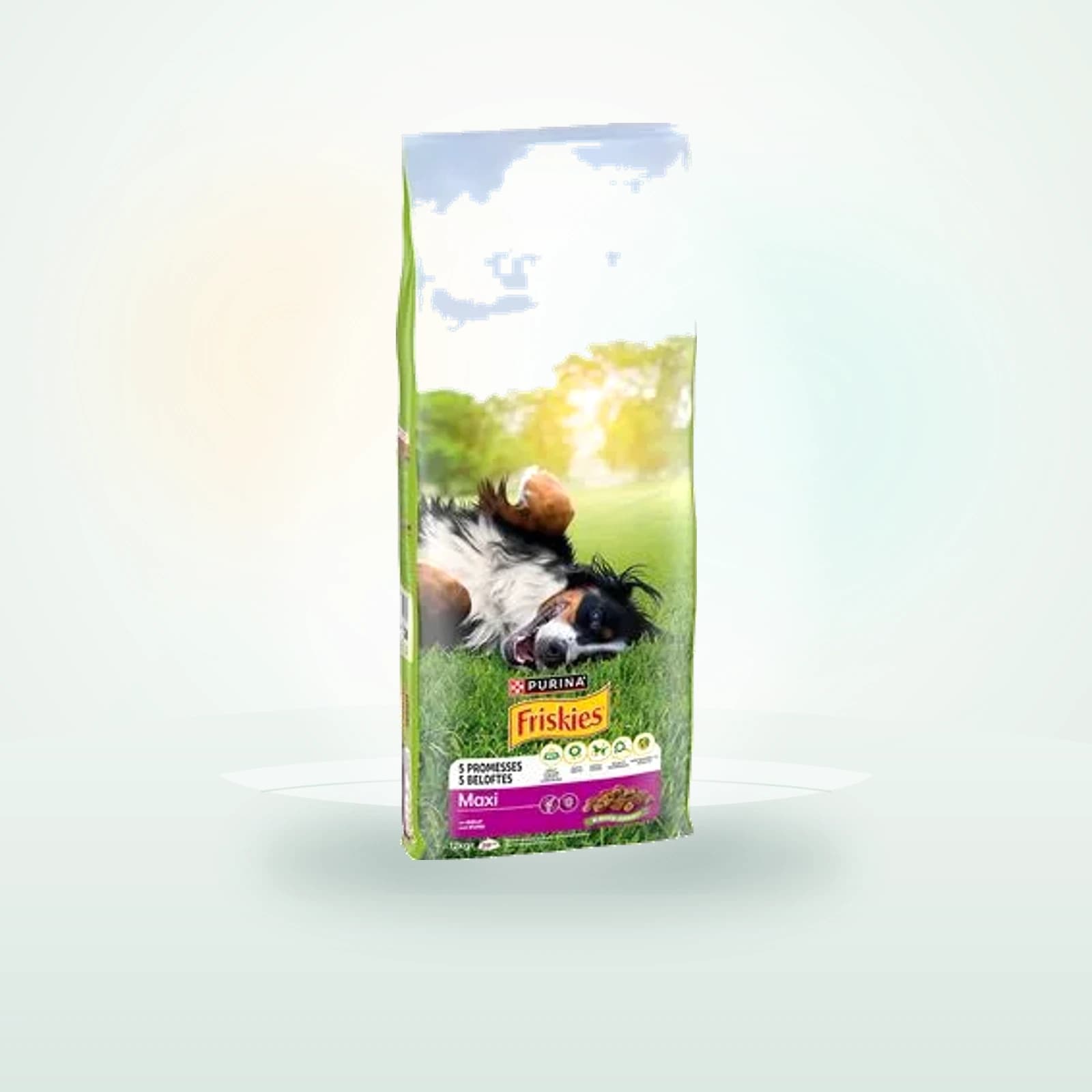 Friskies Adult Large Breed Dog Maxi con vacuno