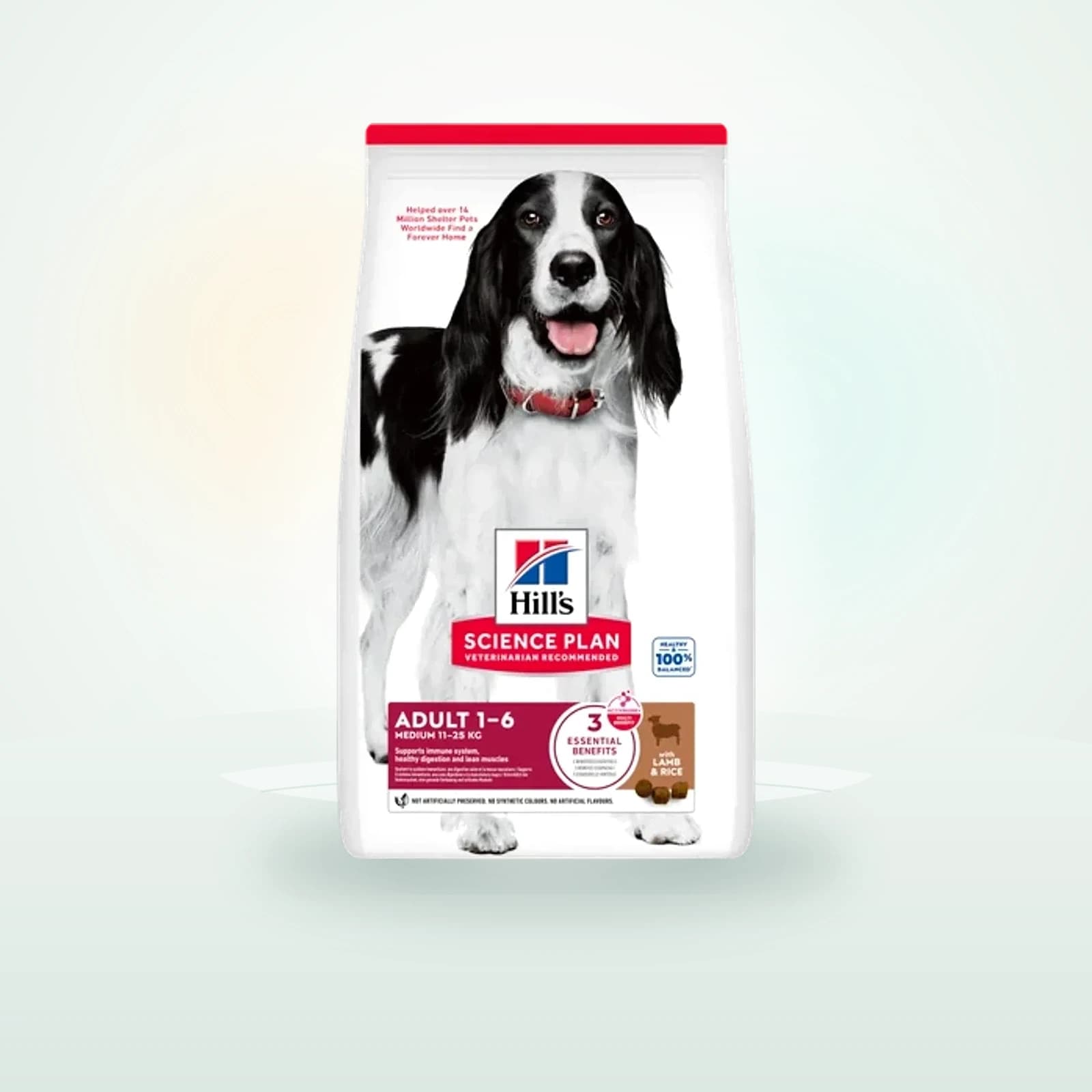 Hill's Science Plan Medium Adult Agnello e Riso