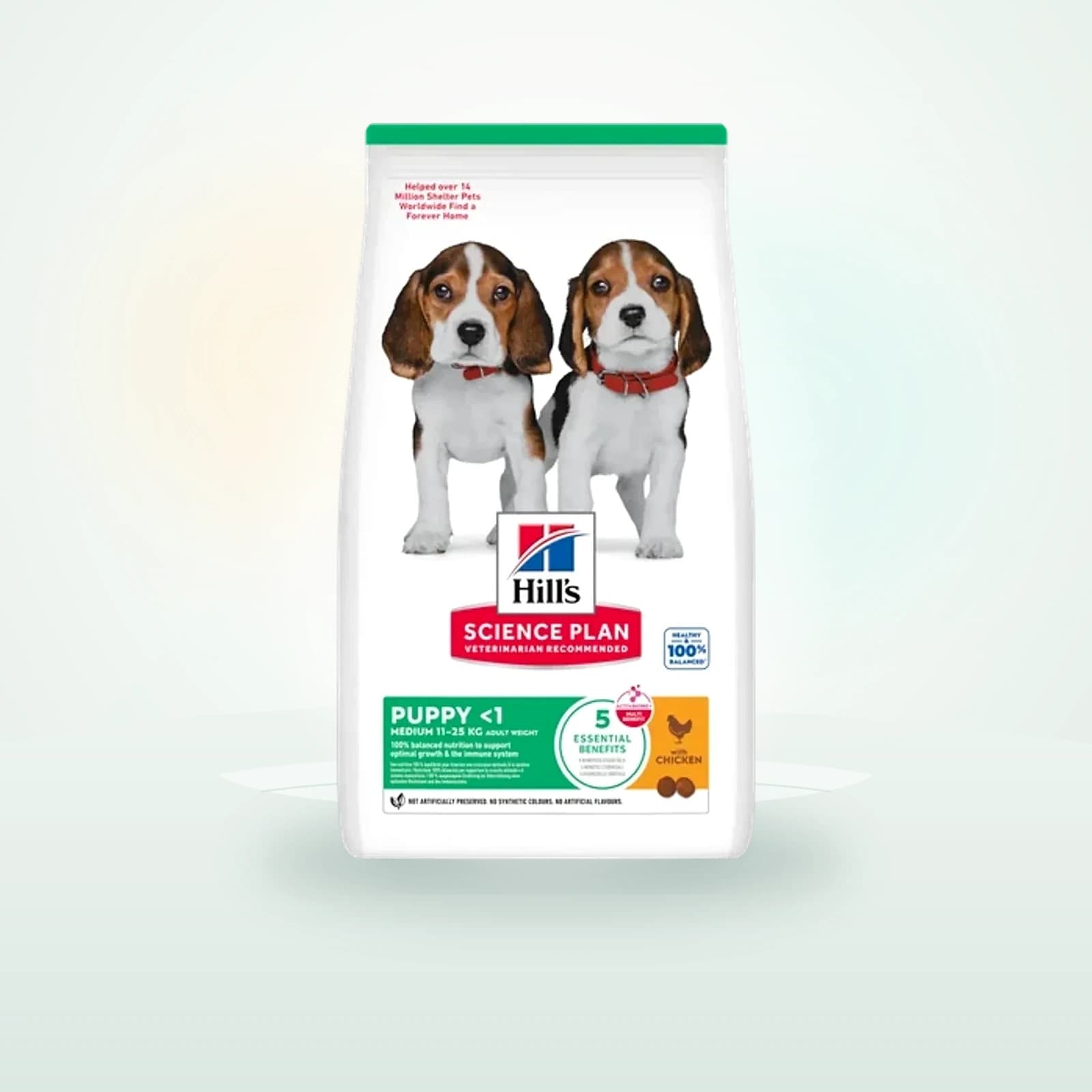 Hill's Science Plan Medium Puppy Pollo