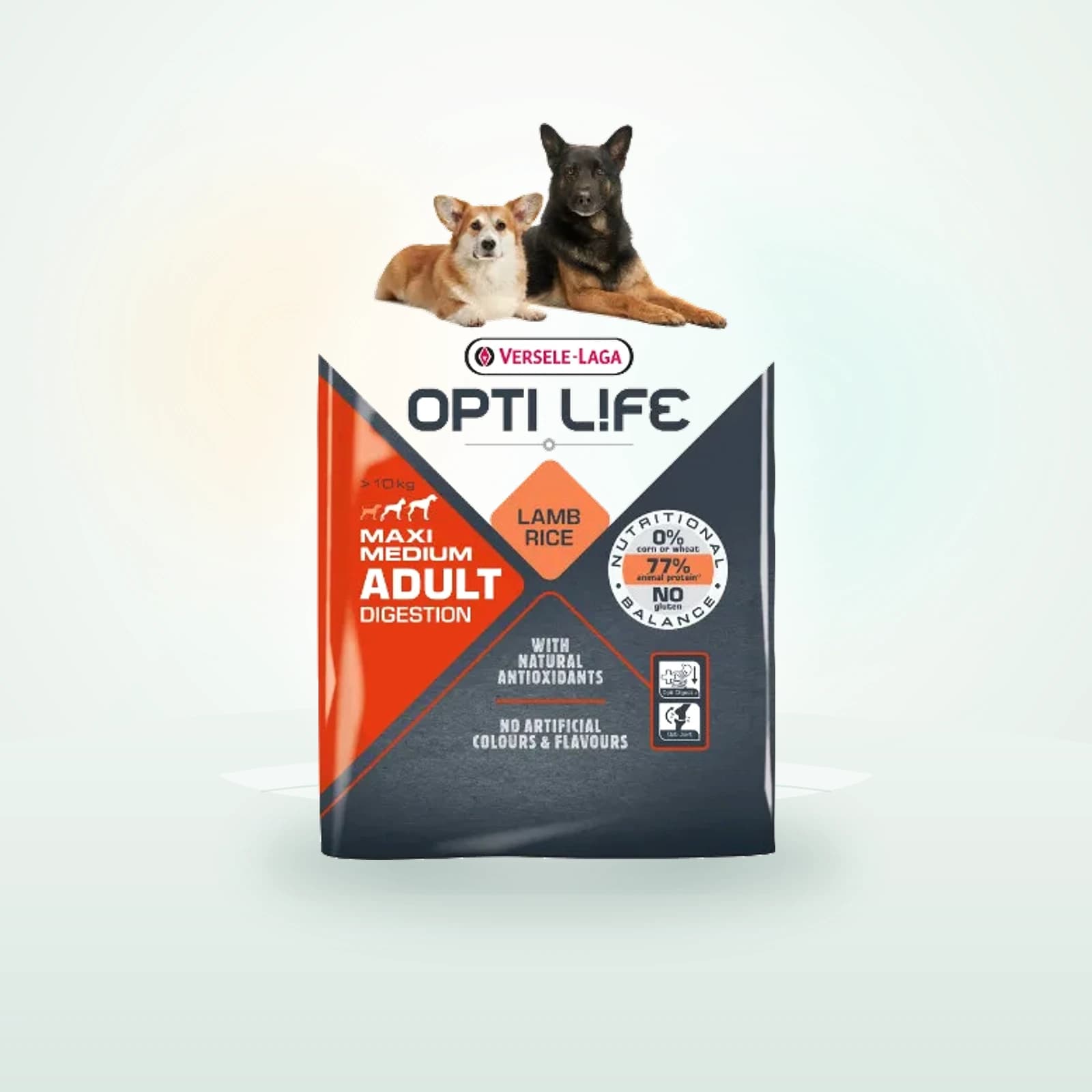 Opti Life Adult Medium/Maxi Digestion