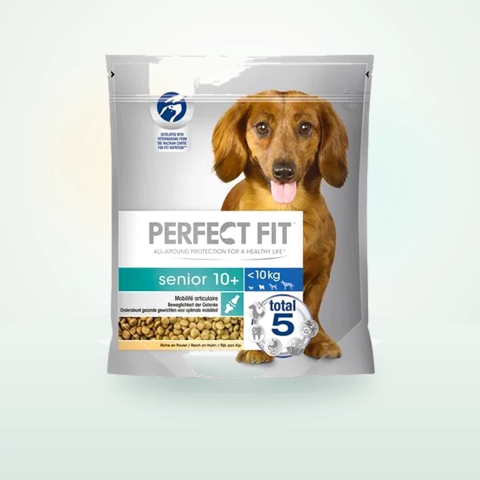 Perfect Fit Senior Small Dogs (<)