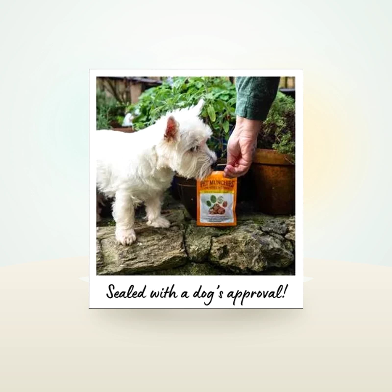 Pet Munchies Training Treats