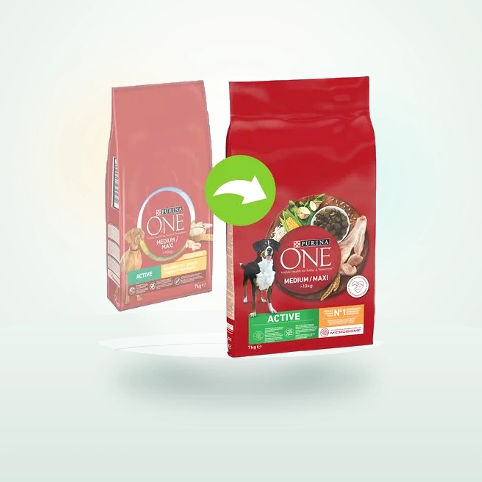 Purina One Medium/Maxi Adult Active Kylling