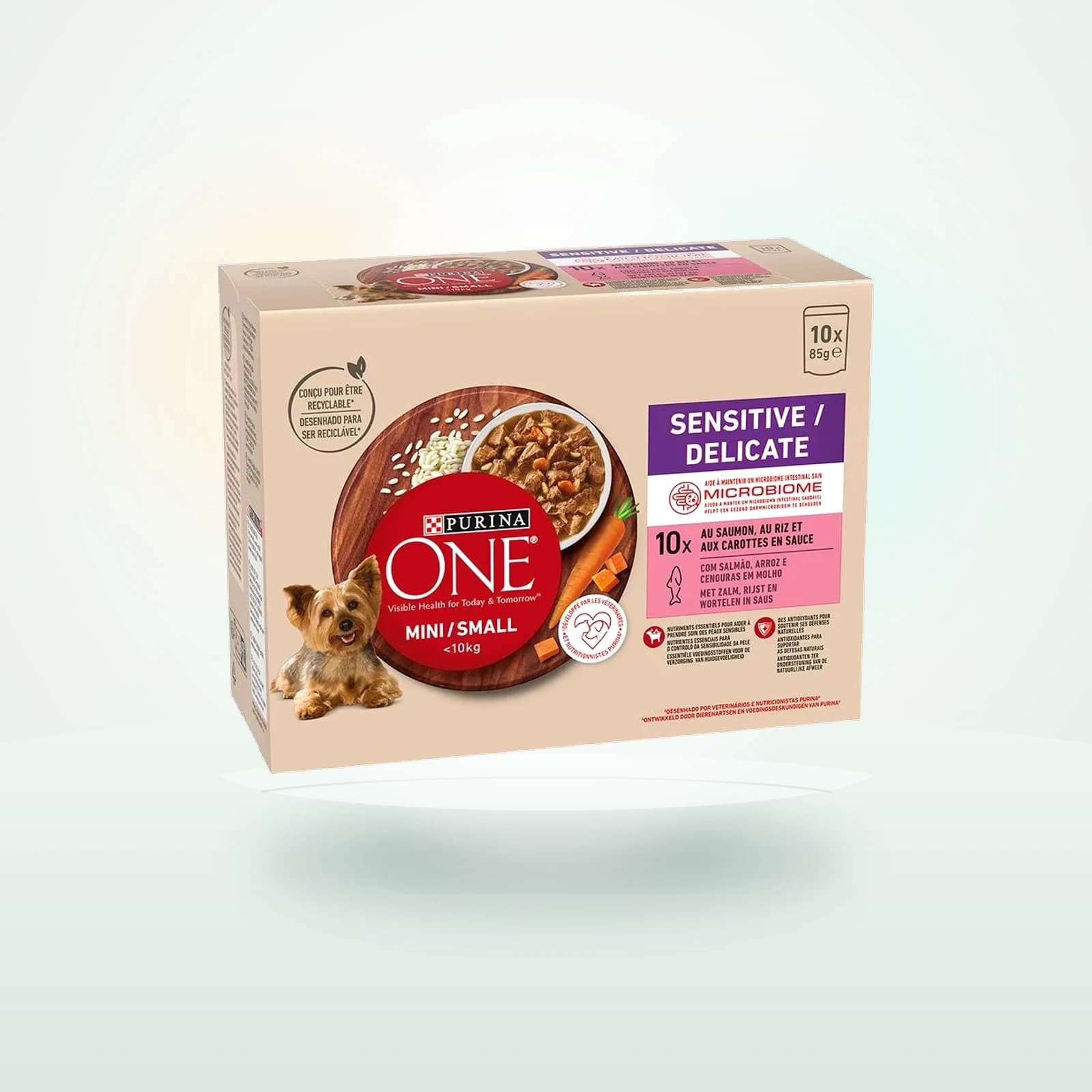 Purina ONE Mini Sensitive Delicate saumon