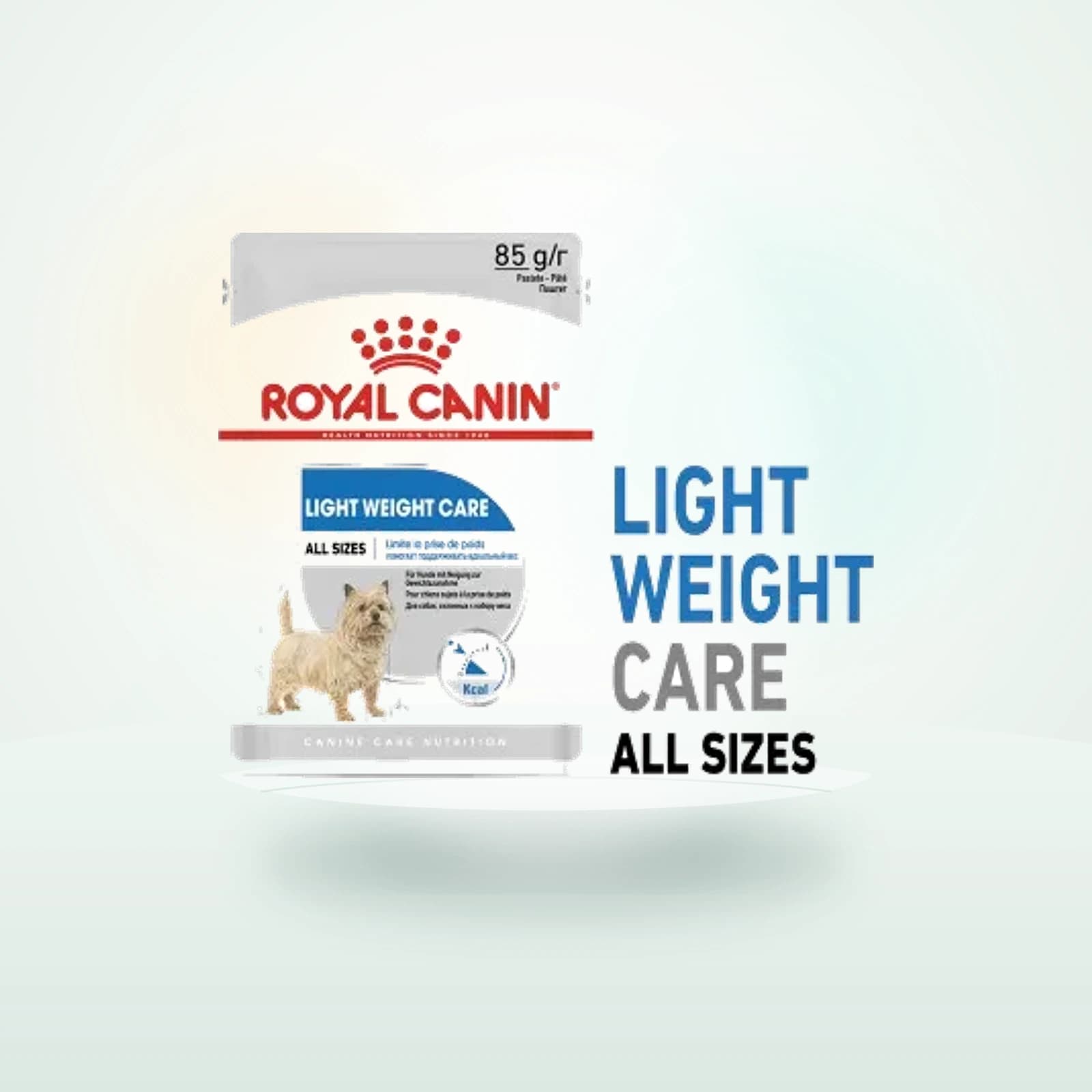 Royal Canin Adult Light Weight Care Mousse Wet Dog Food