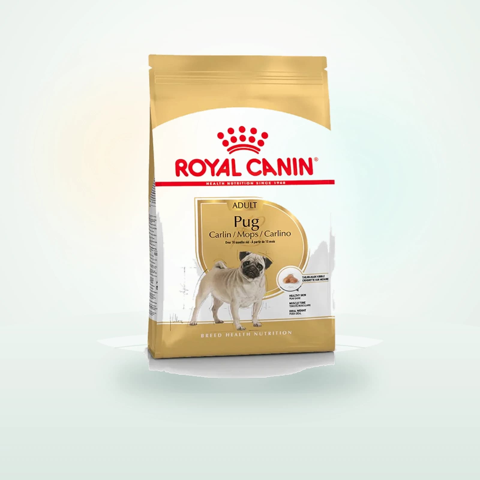 Royal Canin Adult Pug pienso