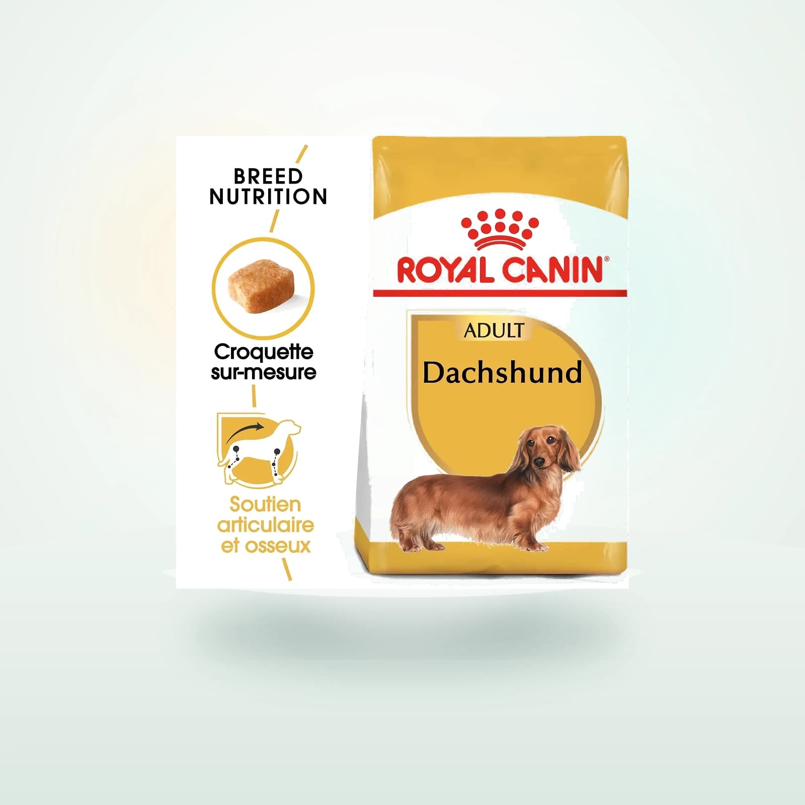 Royal Canin Adult Teckel