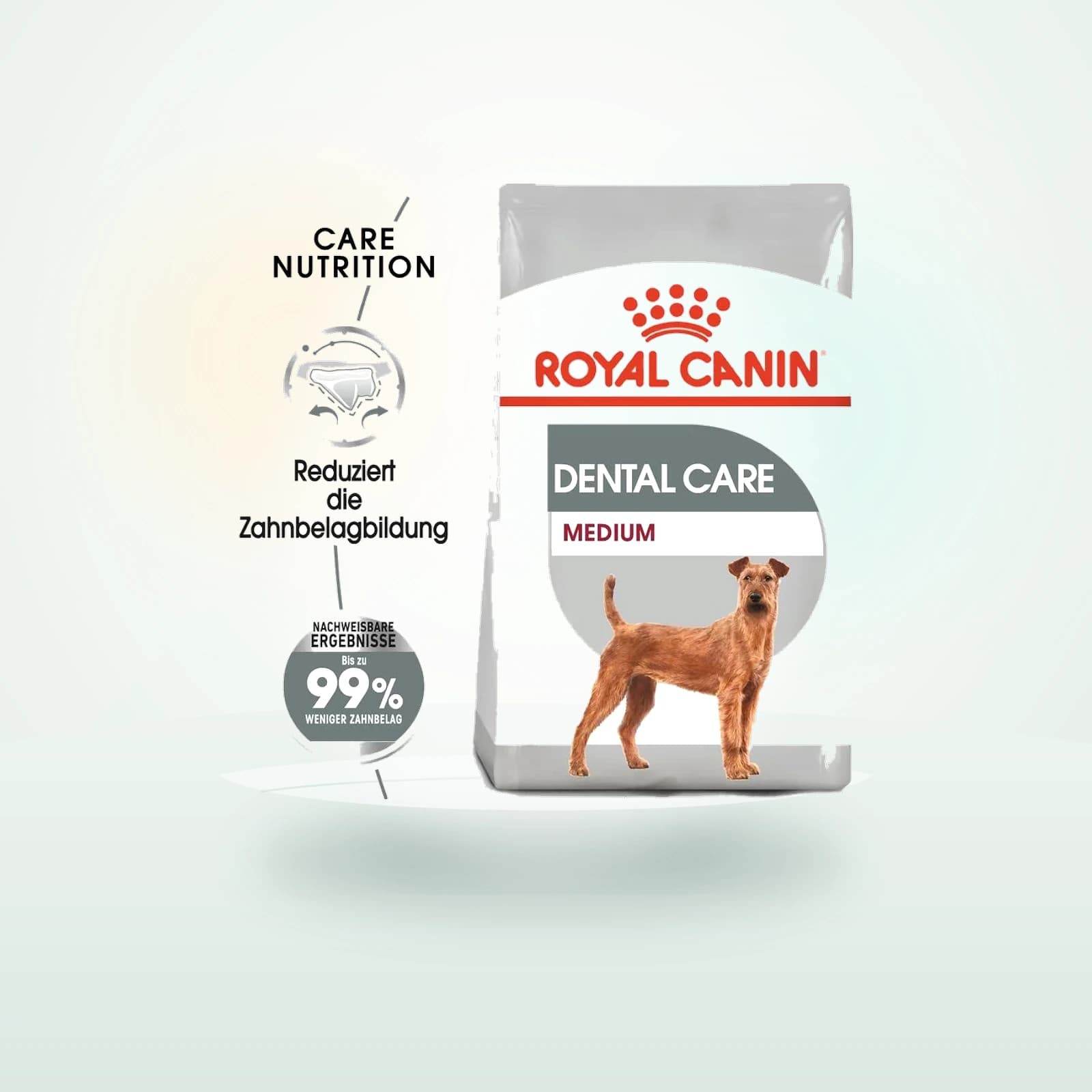 Royal Canin Care Nutrition Dental Care Medium