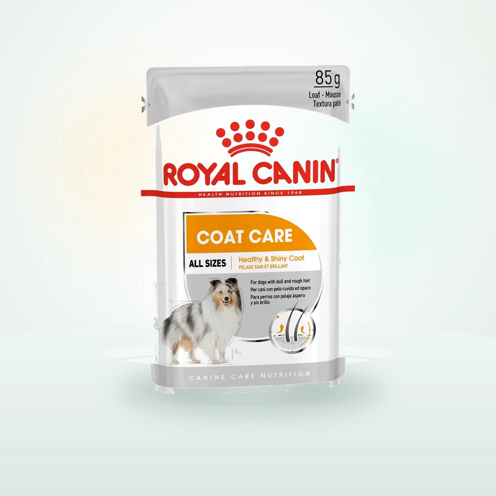 Royal Canin Coat Care Hundefutter - Frischebeutel