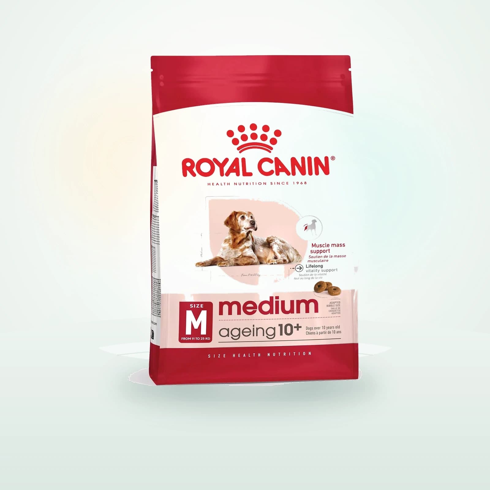 Royal Canin Croquettes Medium Ageing 10+ Senior