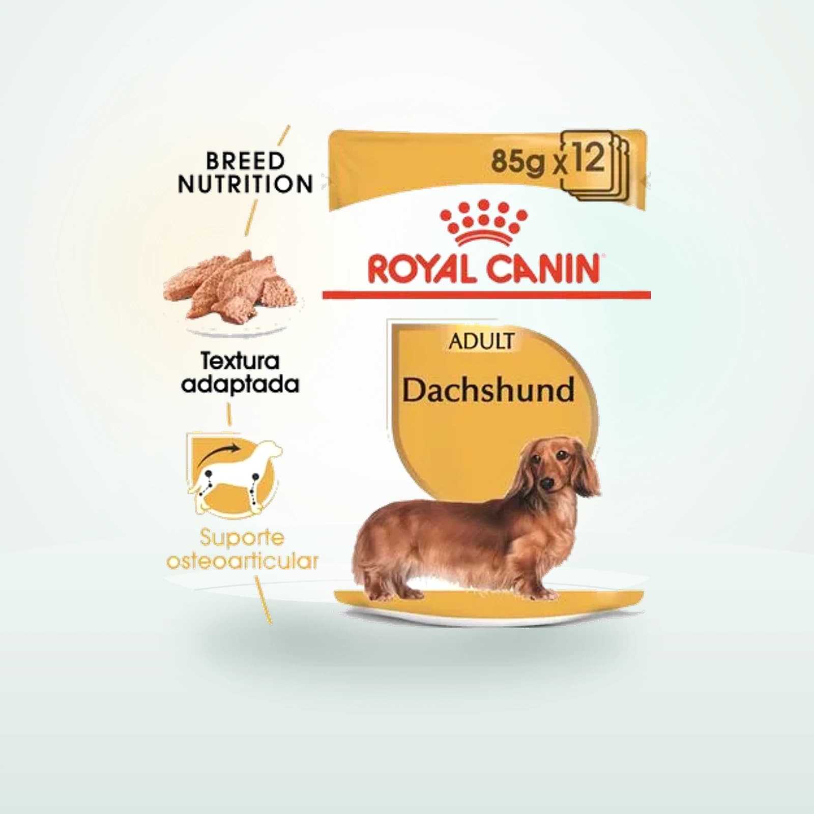 Royal Canin Dachshund mousse em saquetas