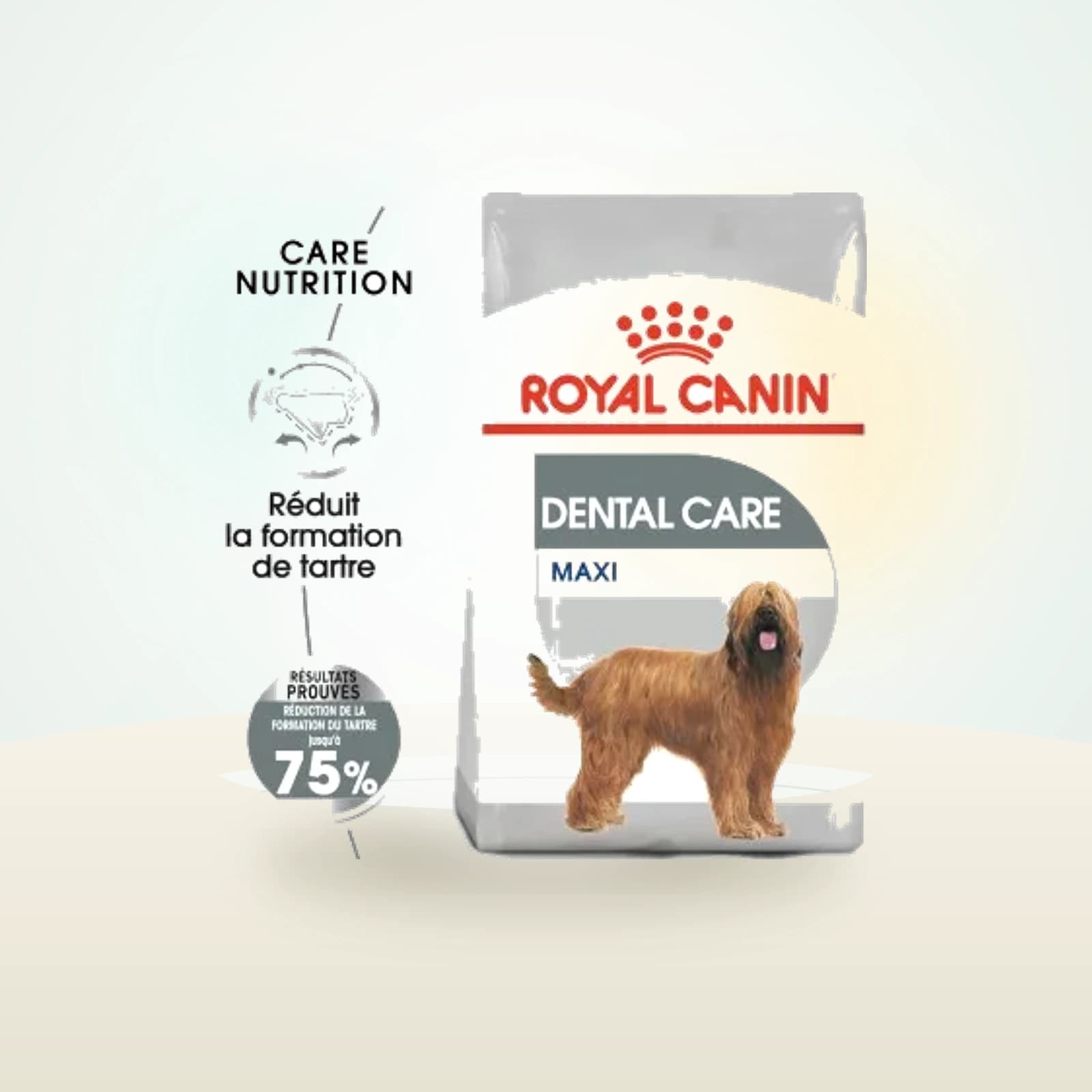 Royal Canin Dental Care Maxi Croquettes Chien