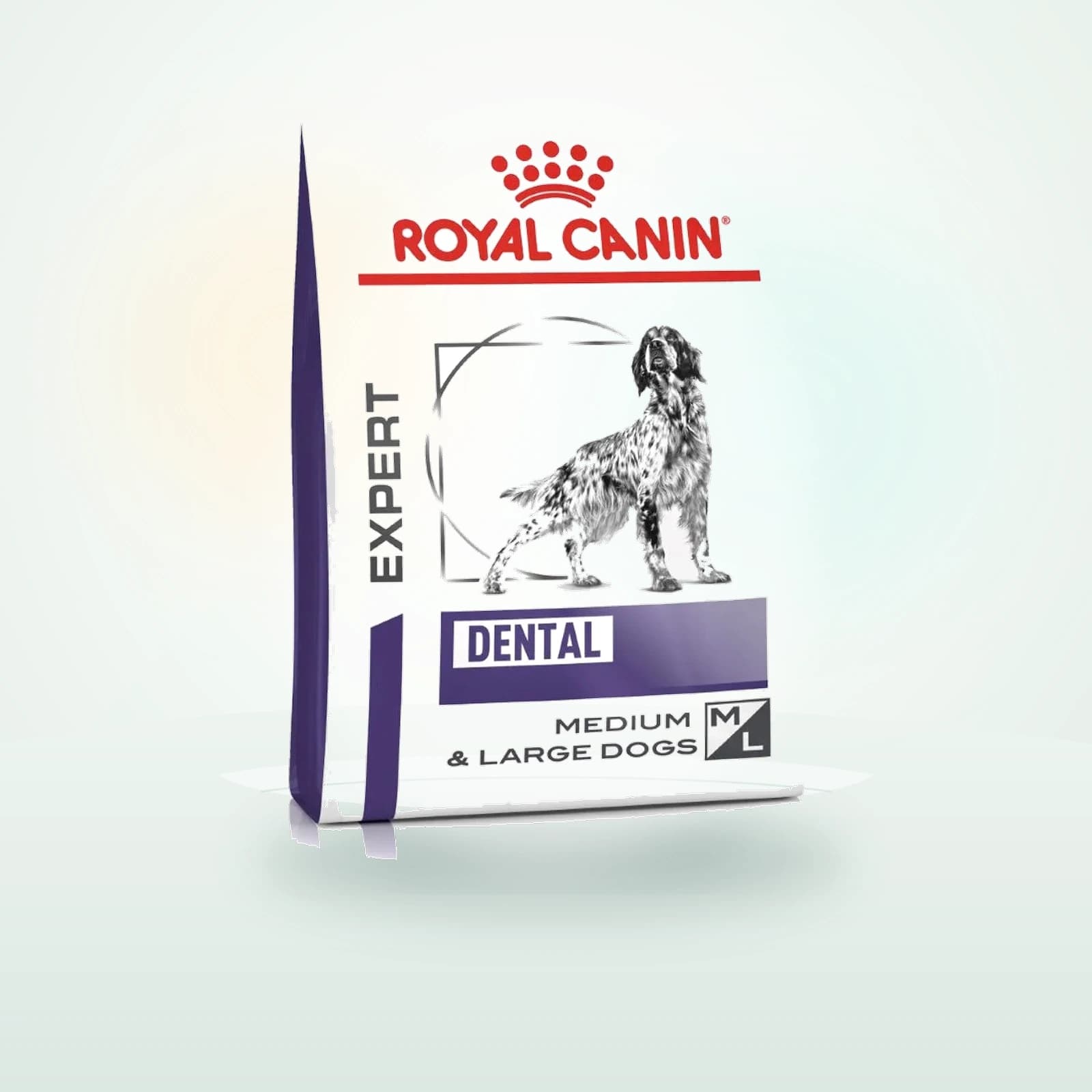 Royal Canin Dental Medium & Large Adult Dry Dog Food