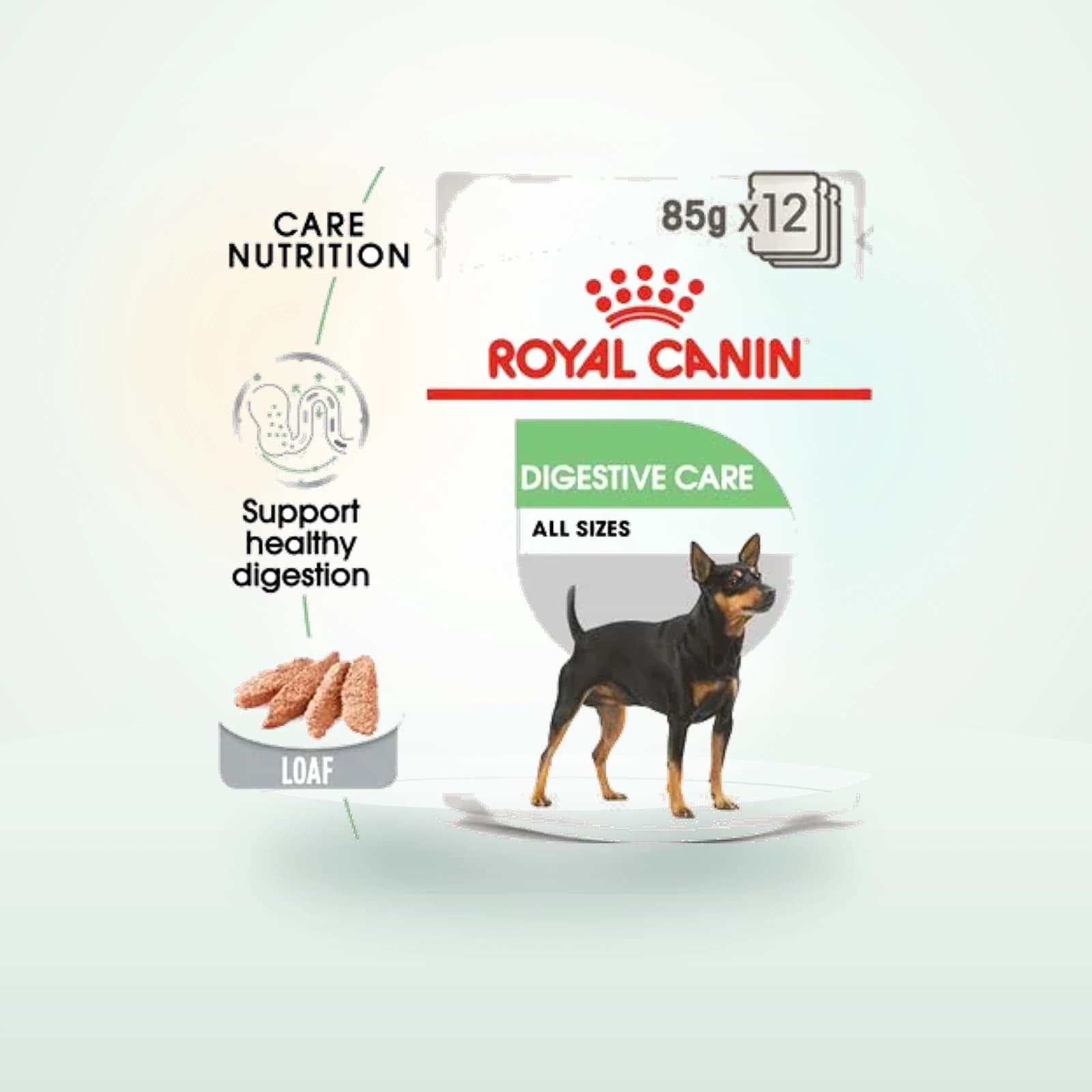 Royal Canin Digestive Care Loaf