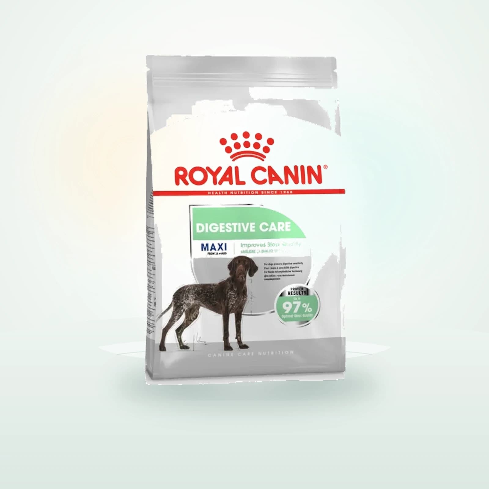 Royal Canin Digestive Care Maxi pienso