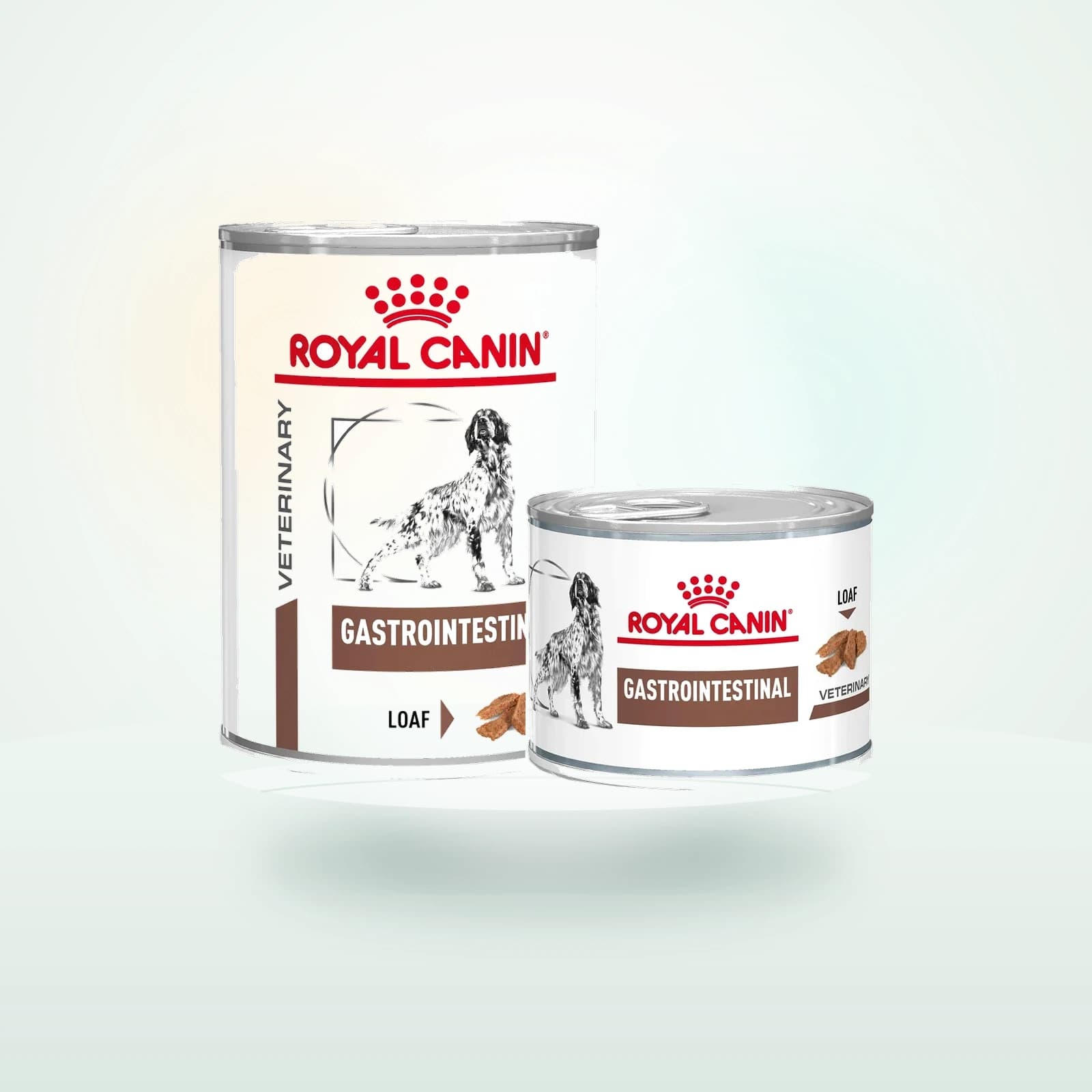 Royal Canin Gastrointestinal Hond - Blik