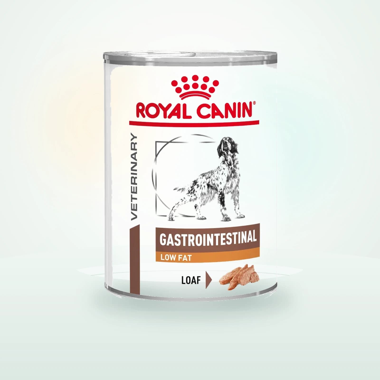 Royal Canin Gastrointestinal Low Fat Hond - Blik
