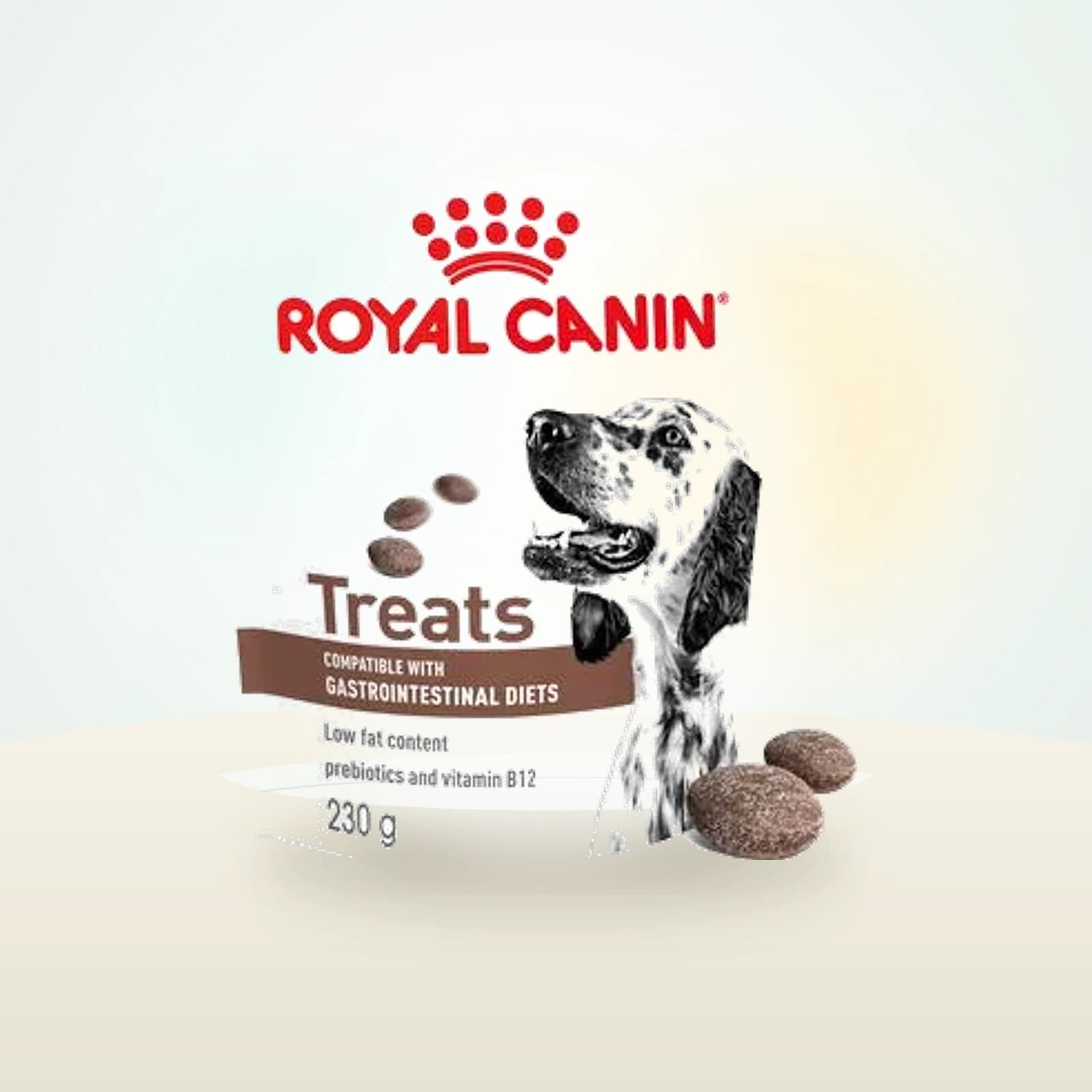 Royal Canin Gastrointestinal Snacks