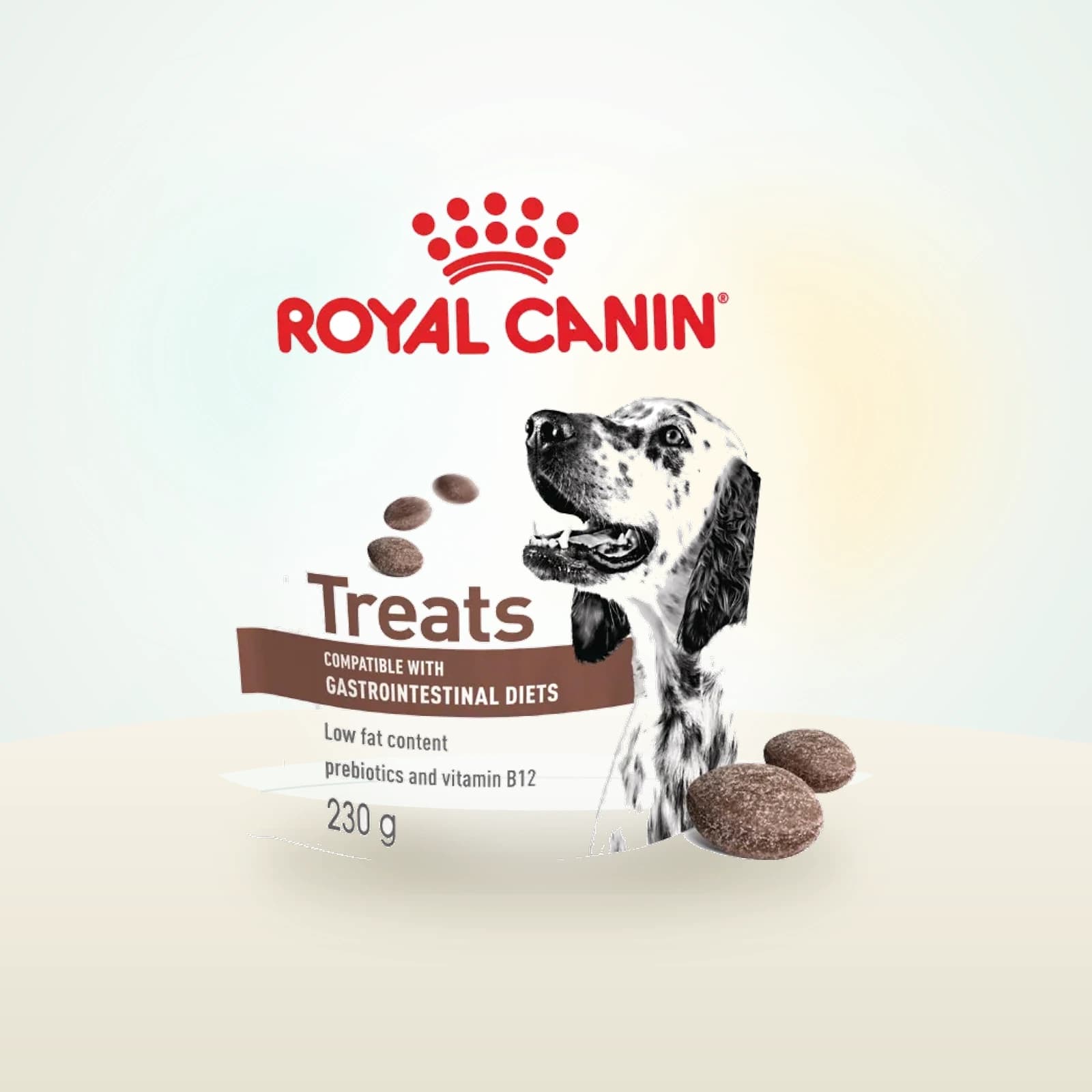 Royal Canin Gastrointestinal Treats friandise